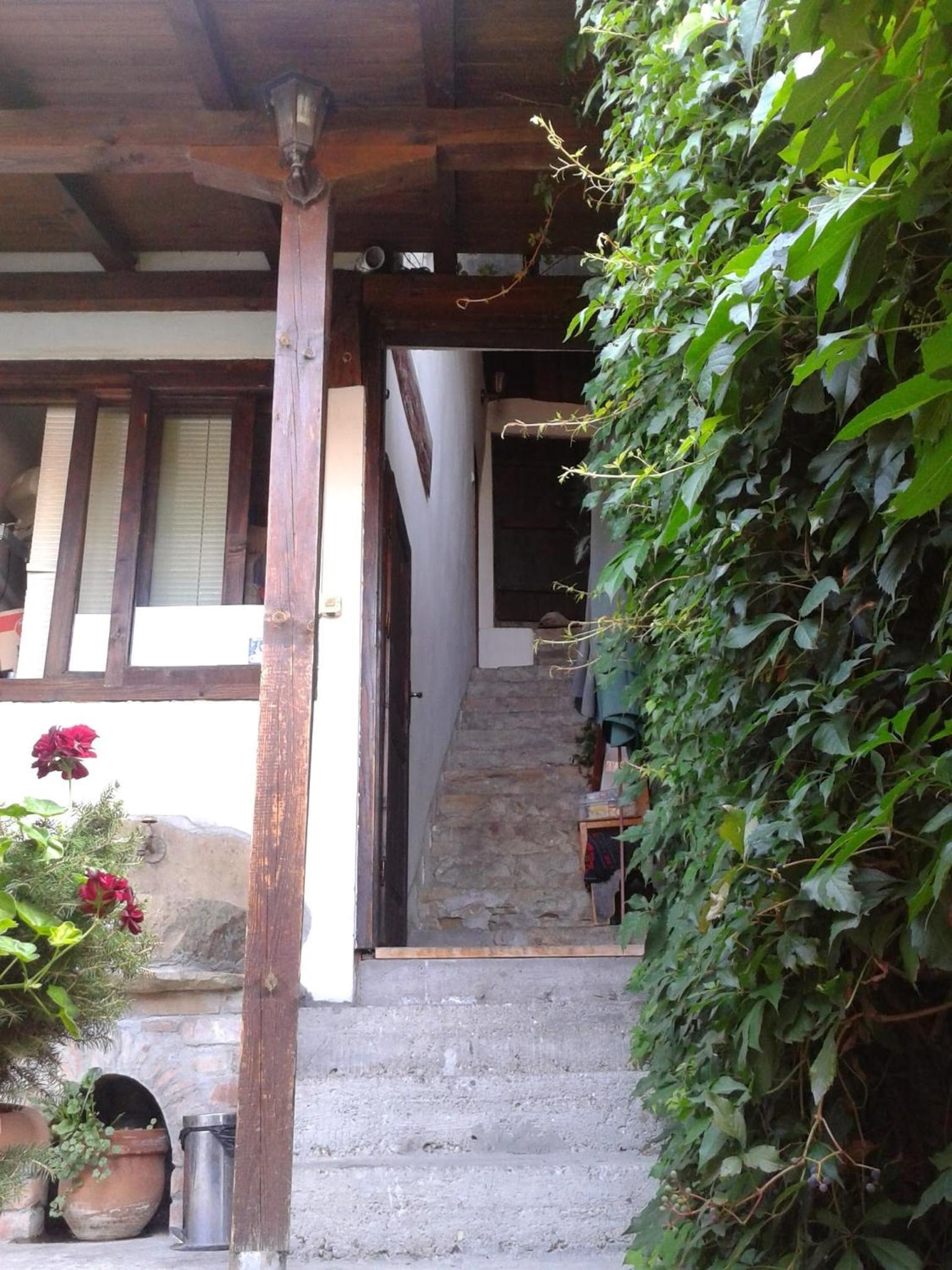 Hostel Pashov