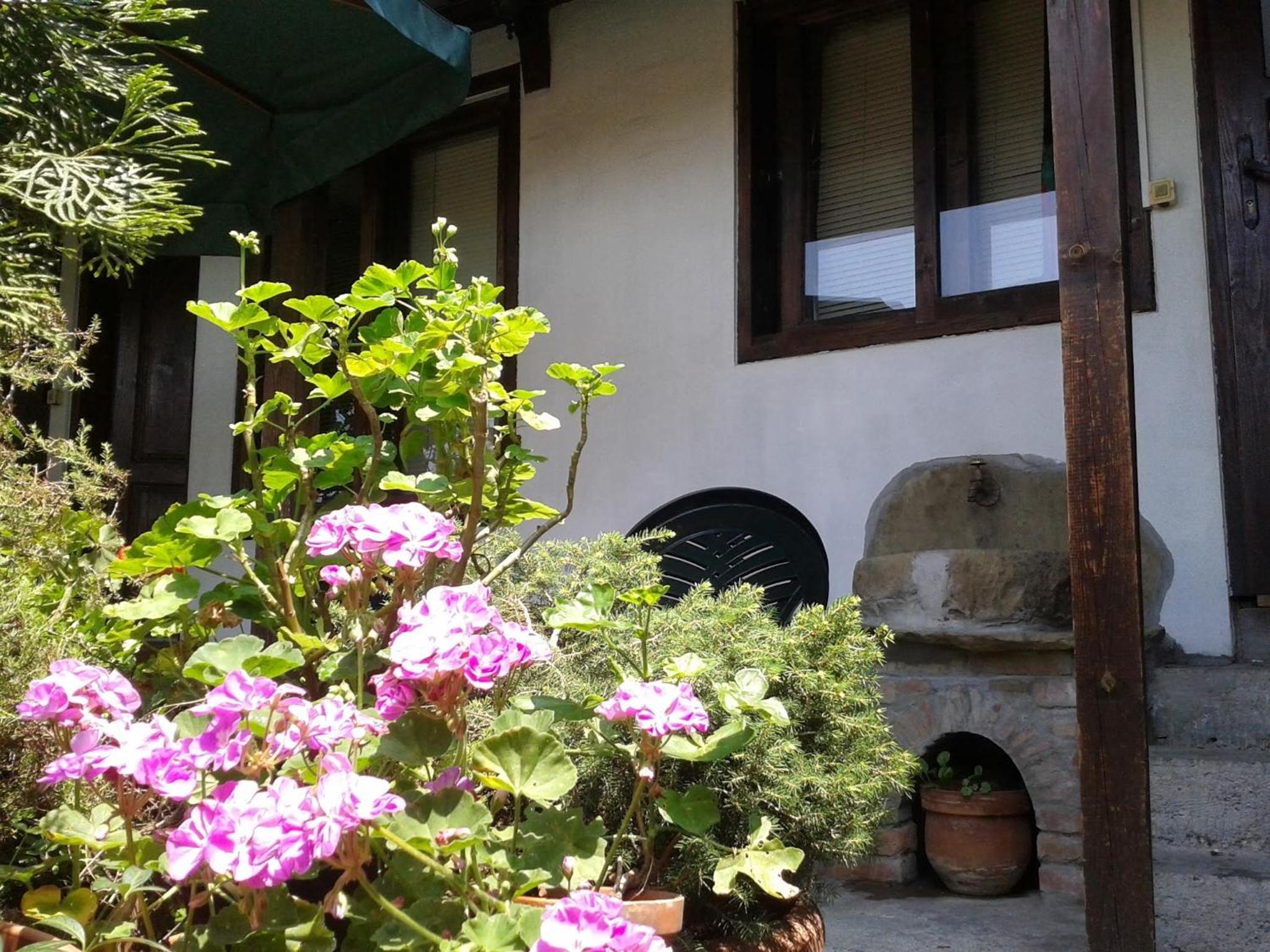 Hostel Pashov
