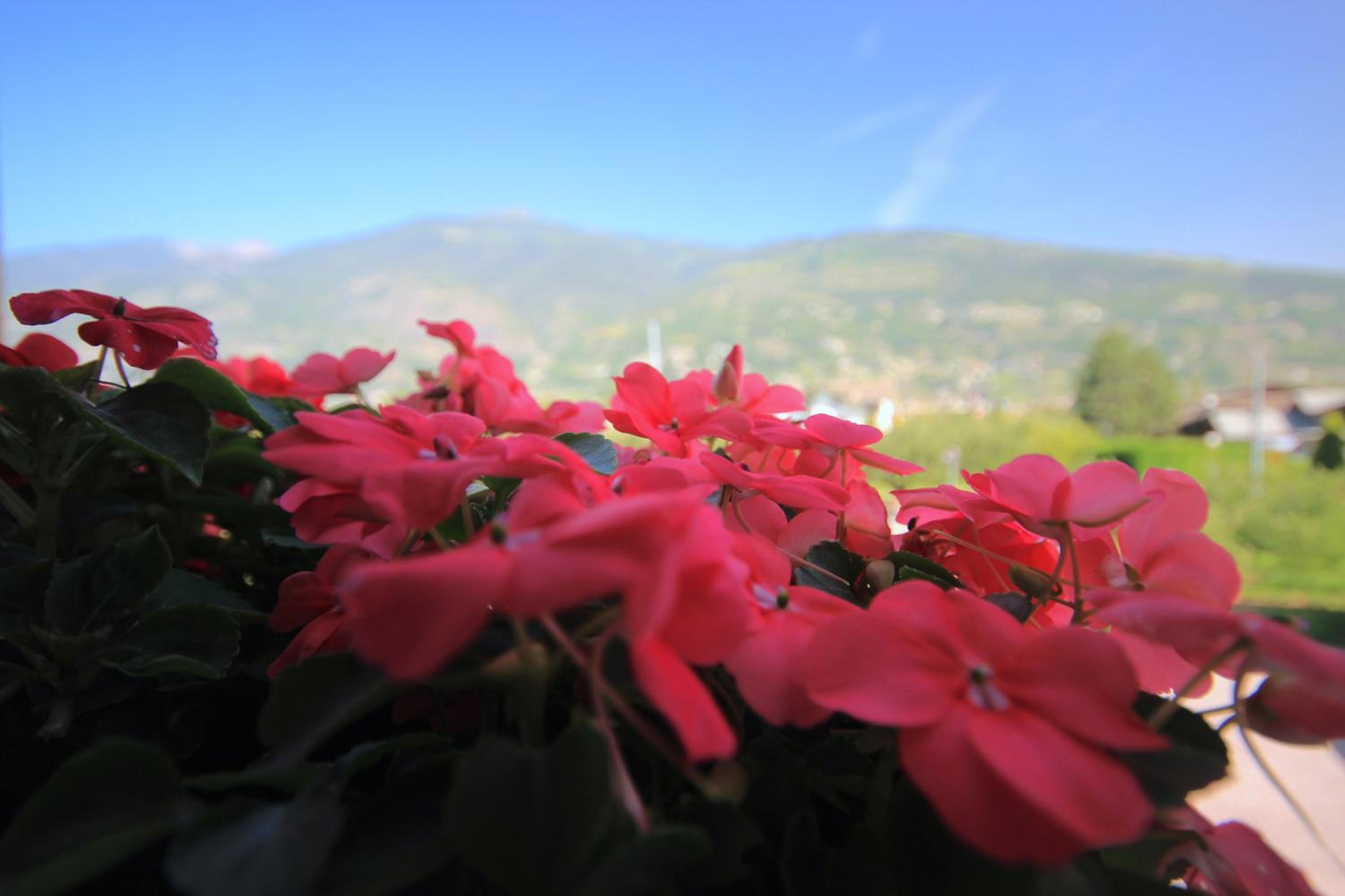 L'Adret view 5
