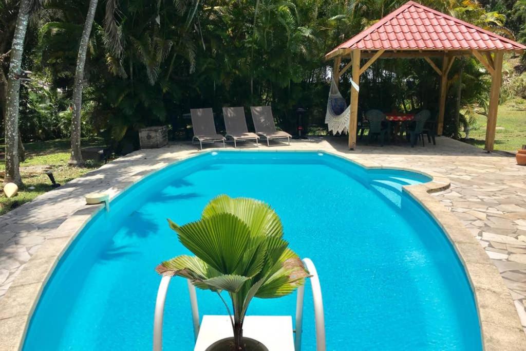 GUADELOUPE MAISON PARADISE view 4