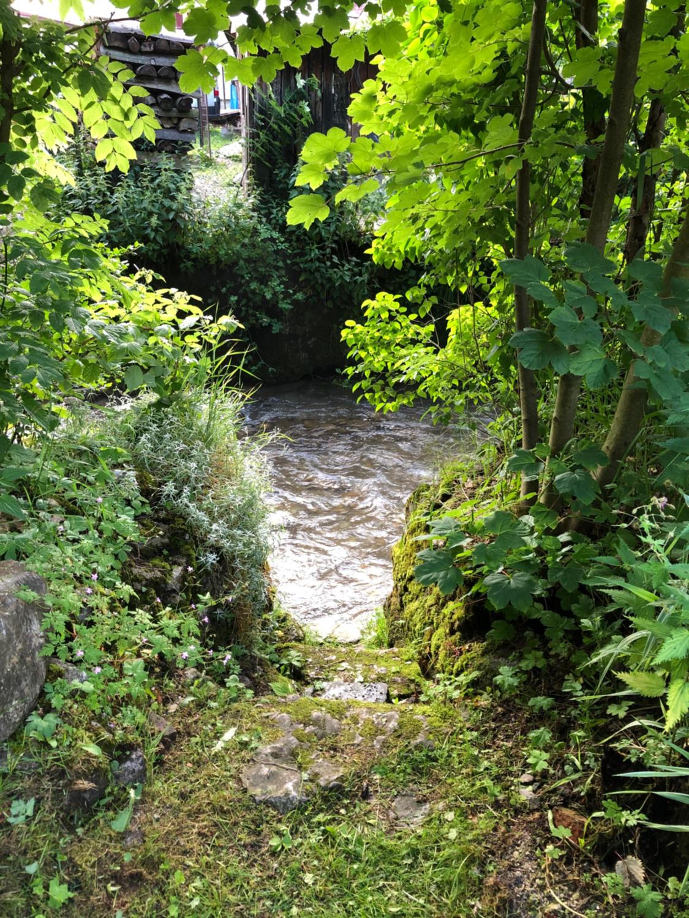 Photo 17