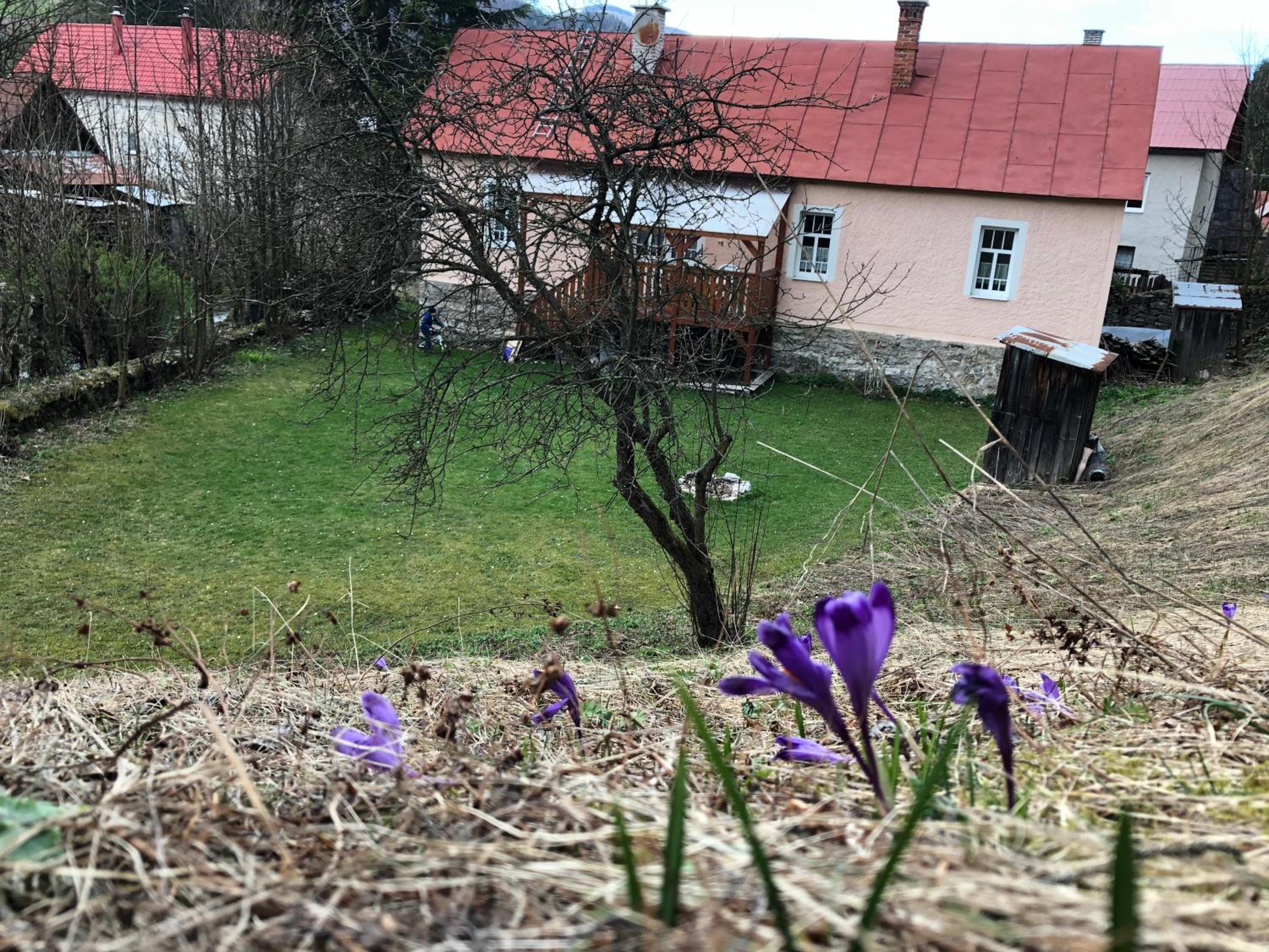 Photo 22