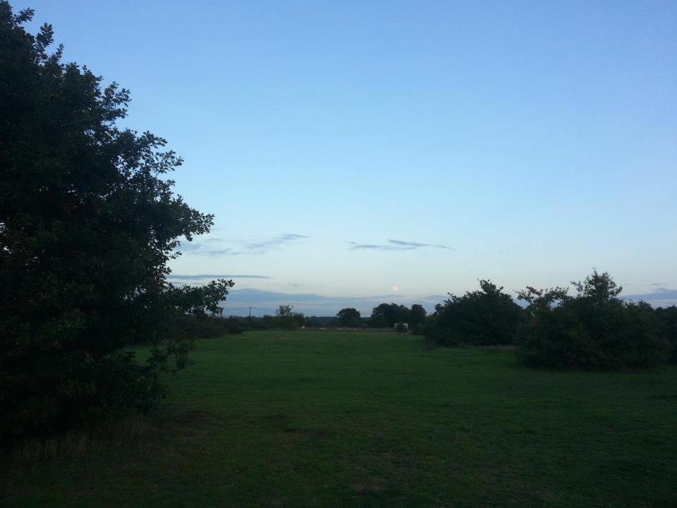 Photo 31