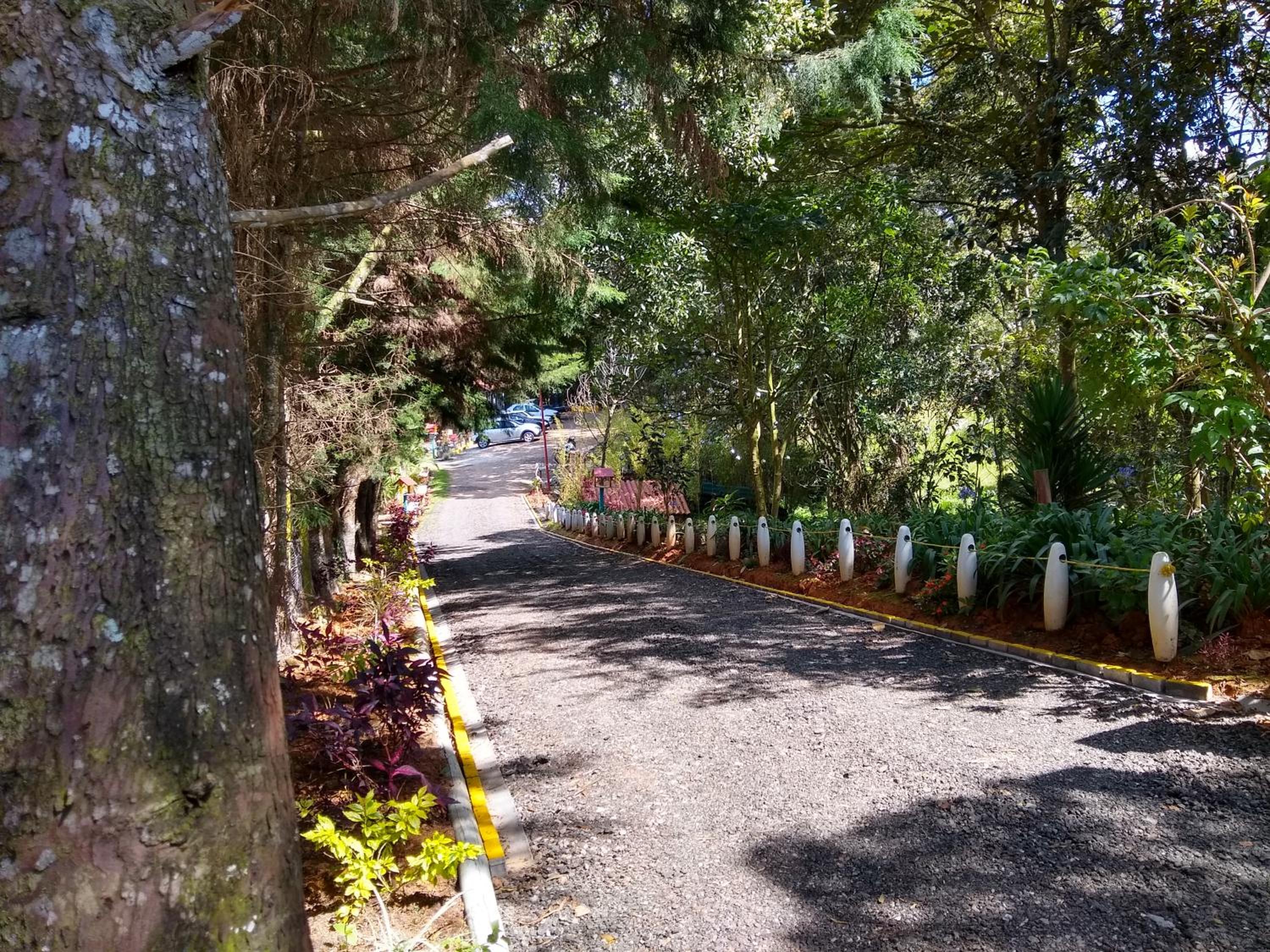 Hospedaje Santaelena -chalets de montaña-