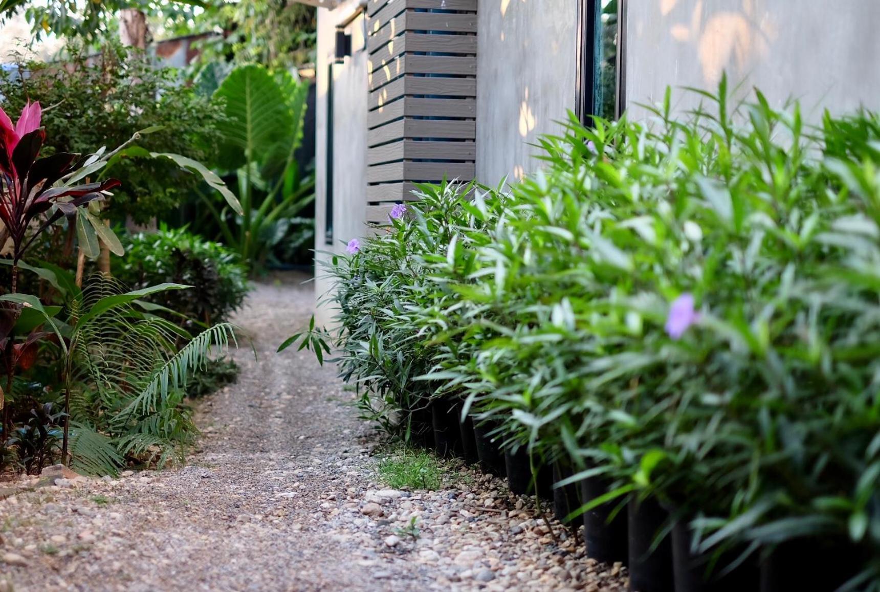 Kittawan Home&Gallery