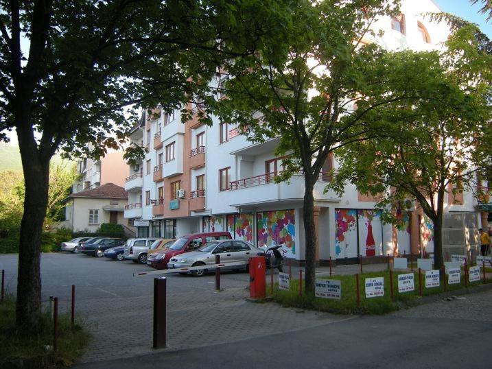 Nikolic Apartments - Ohrid City Centre