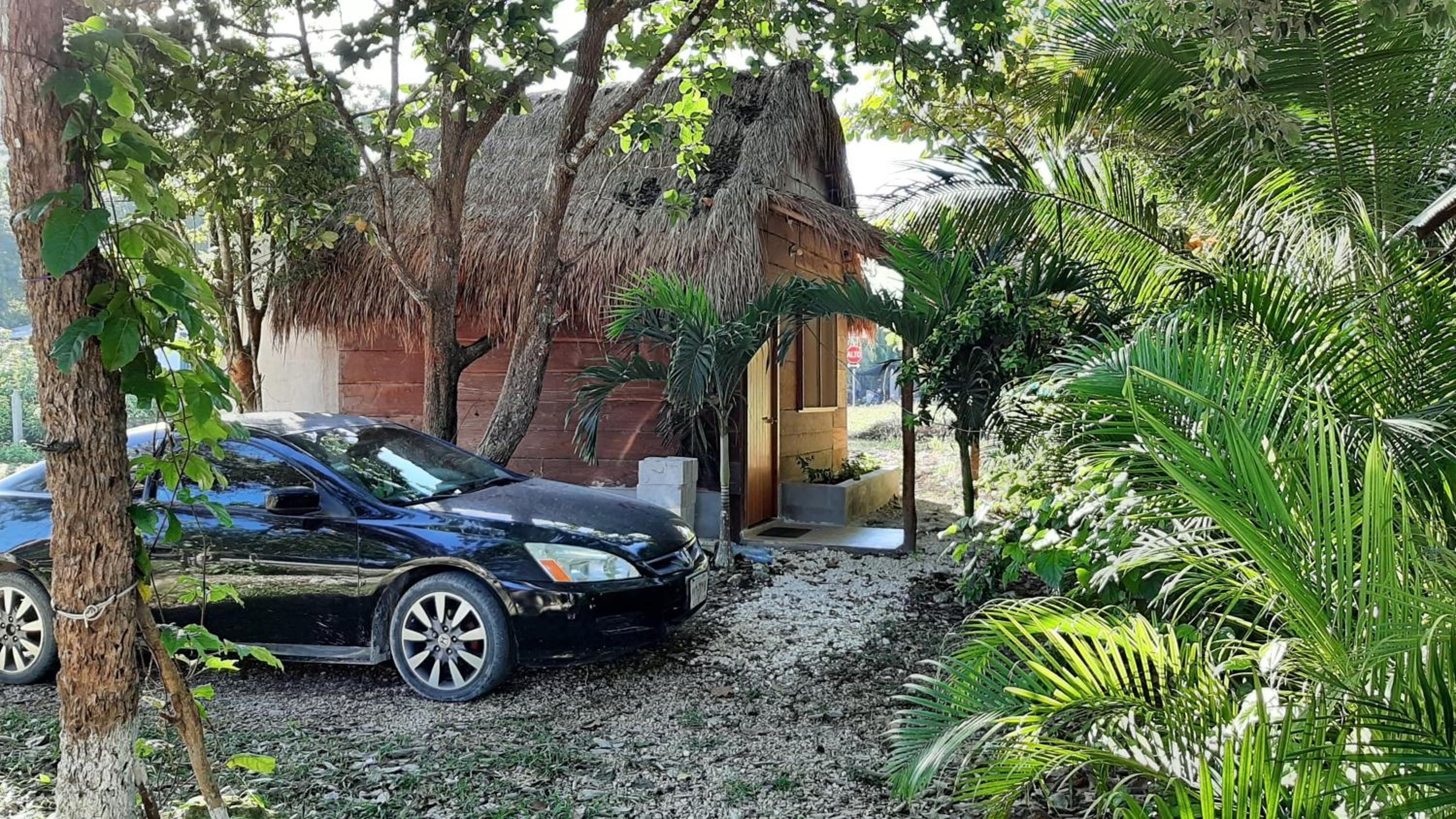 Cabanas chaac Calakmul view 2