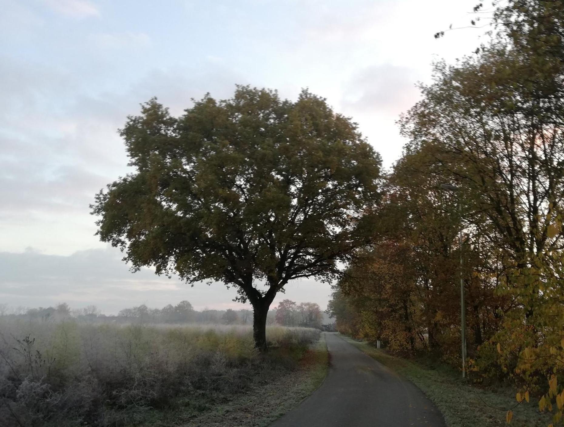 Vakantiewoning Vennekens