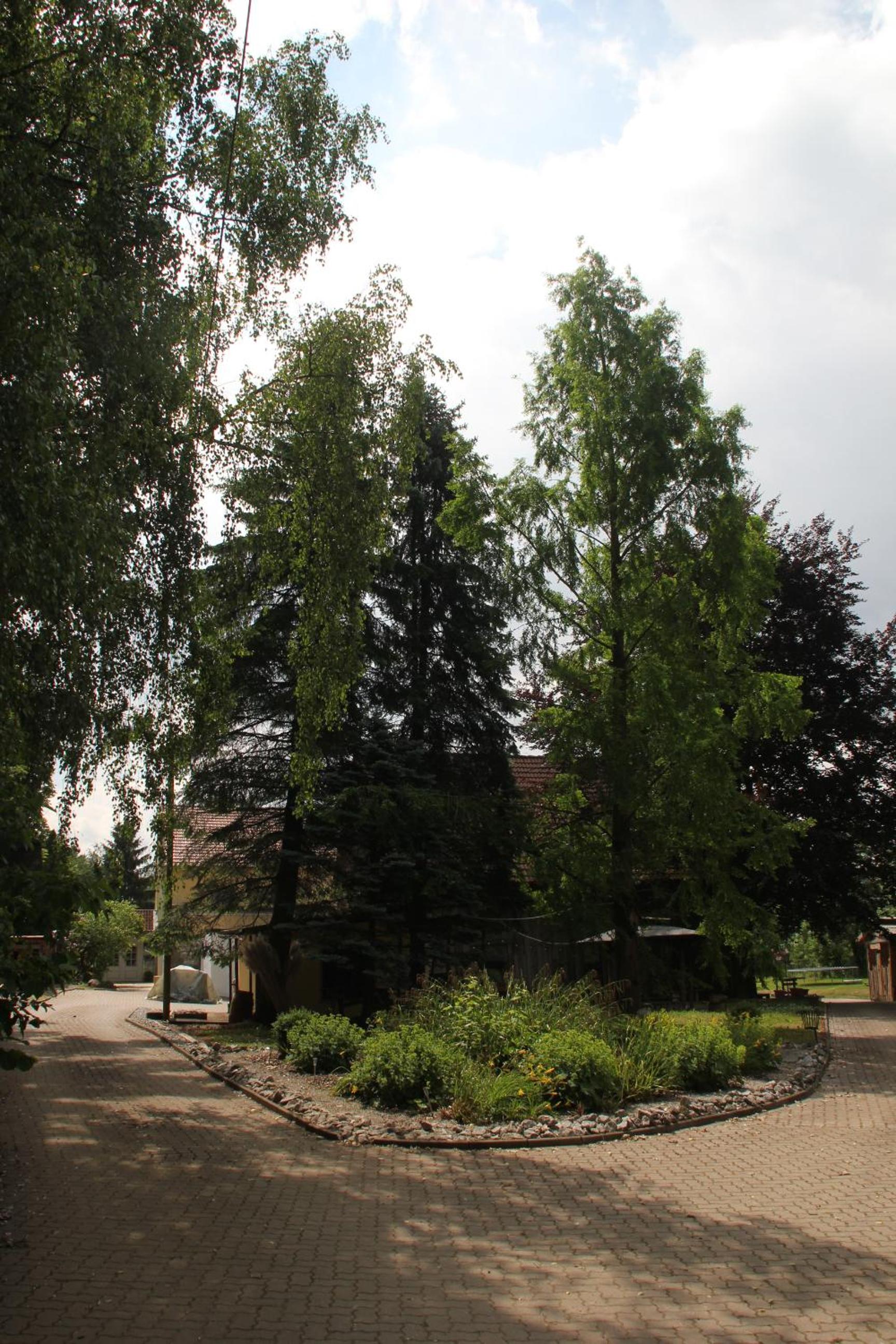 Photo 8