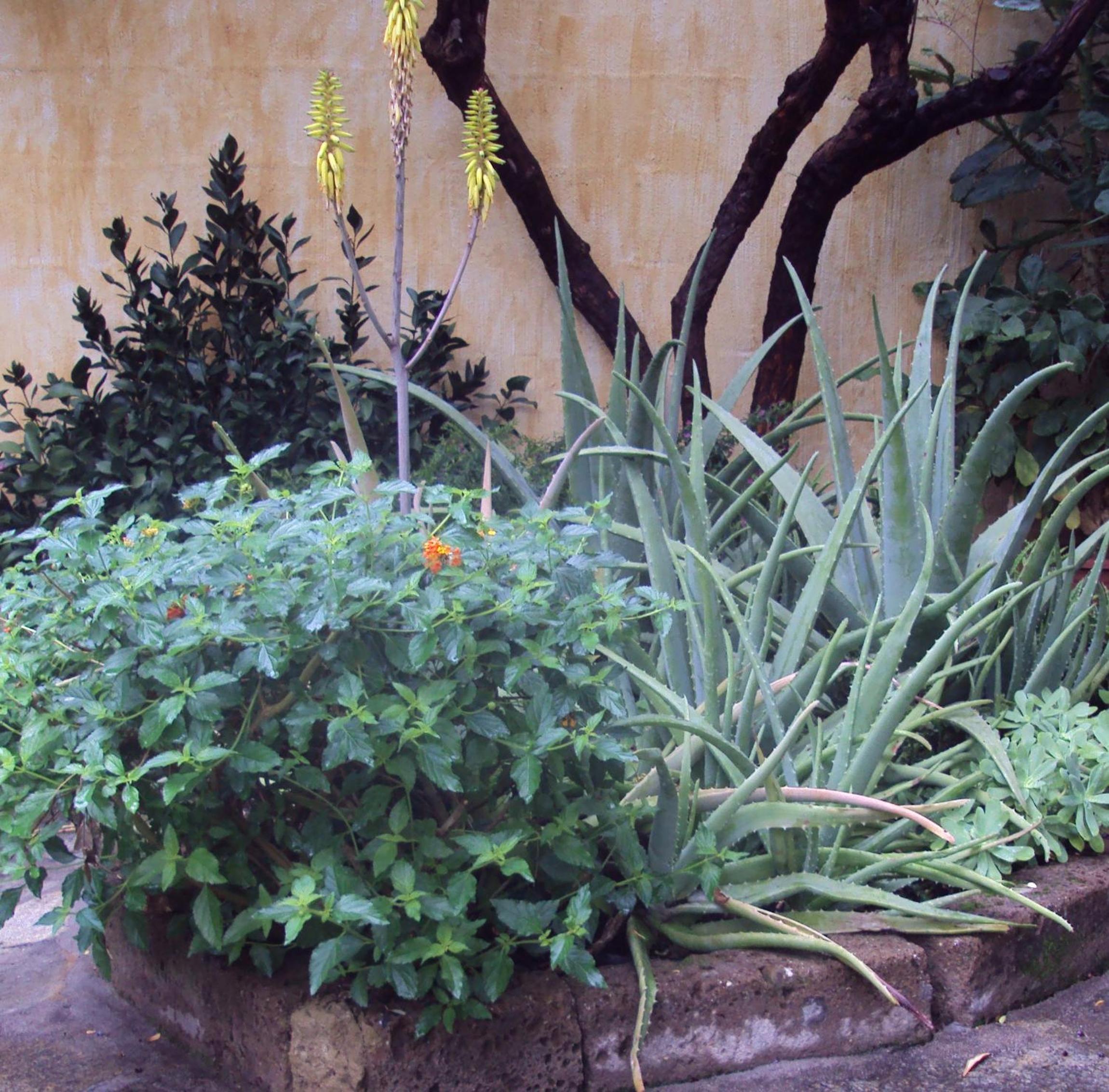 Photo 26
