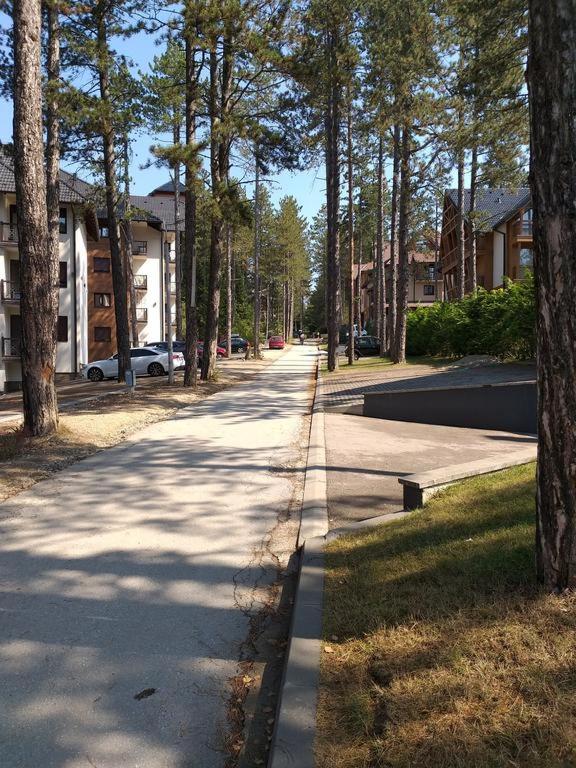 WonderWood Family Apartment view 3