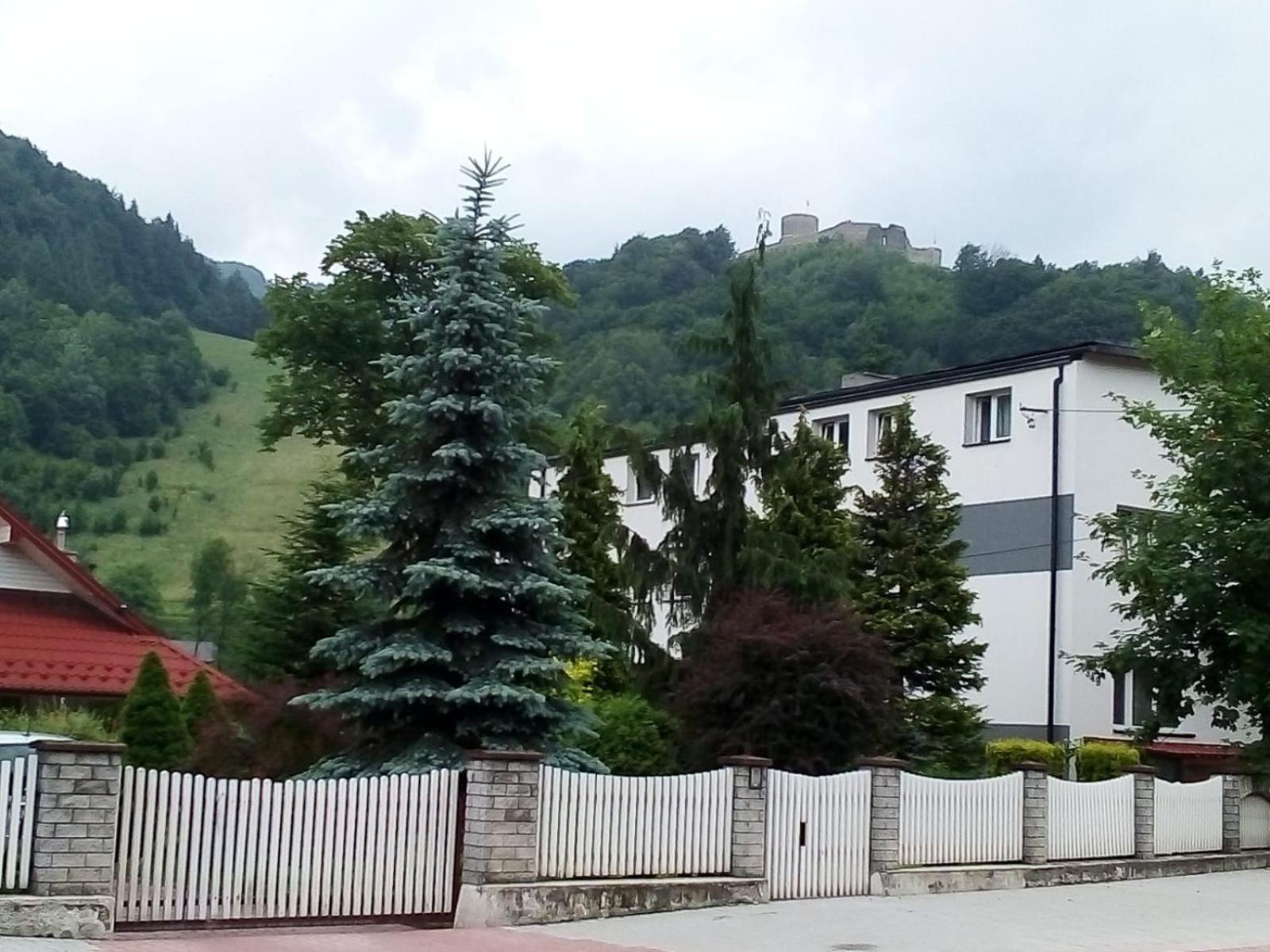 Photo 10