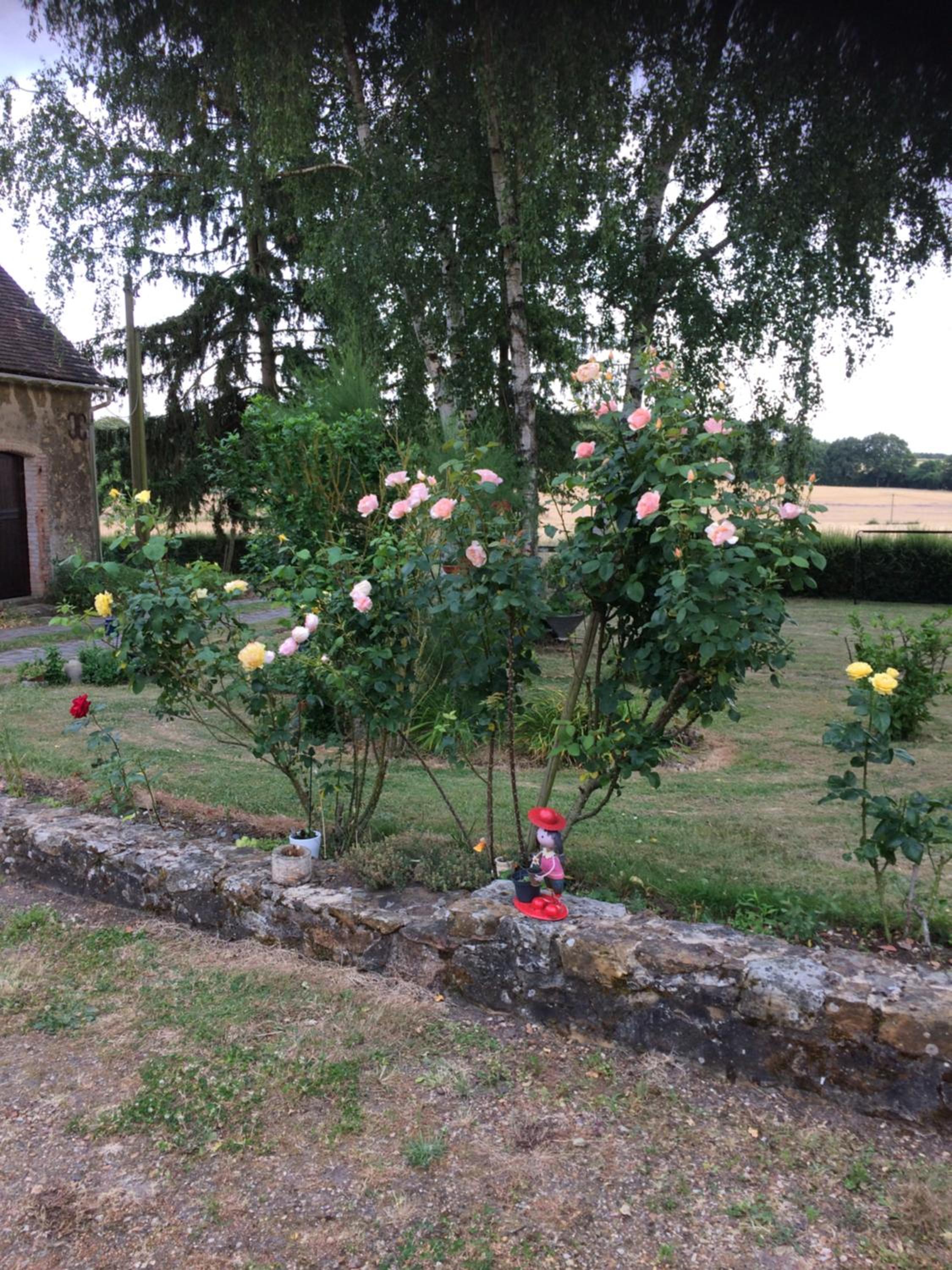 Photo 17