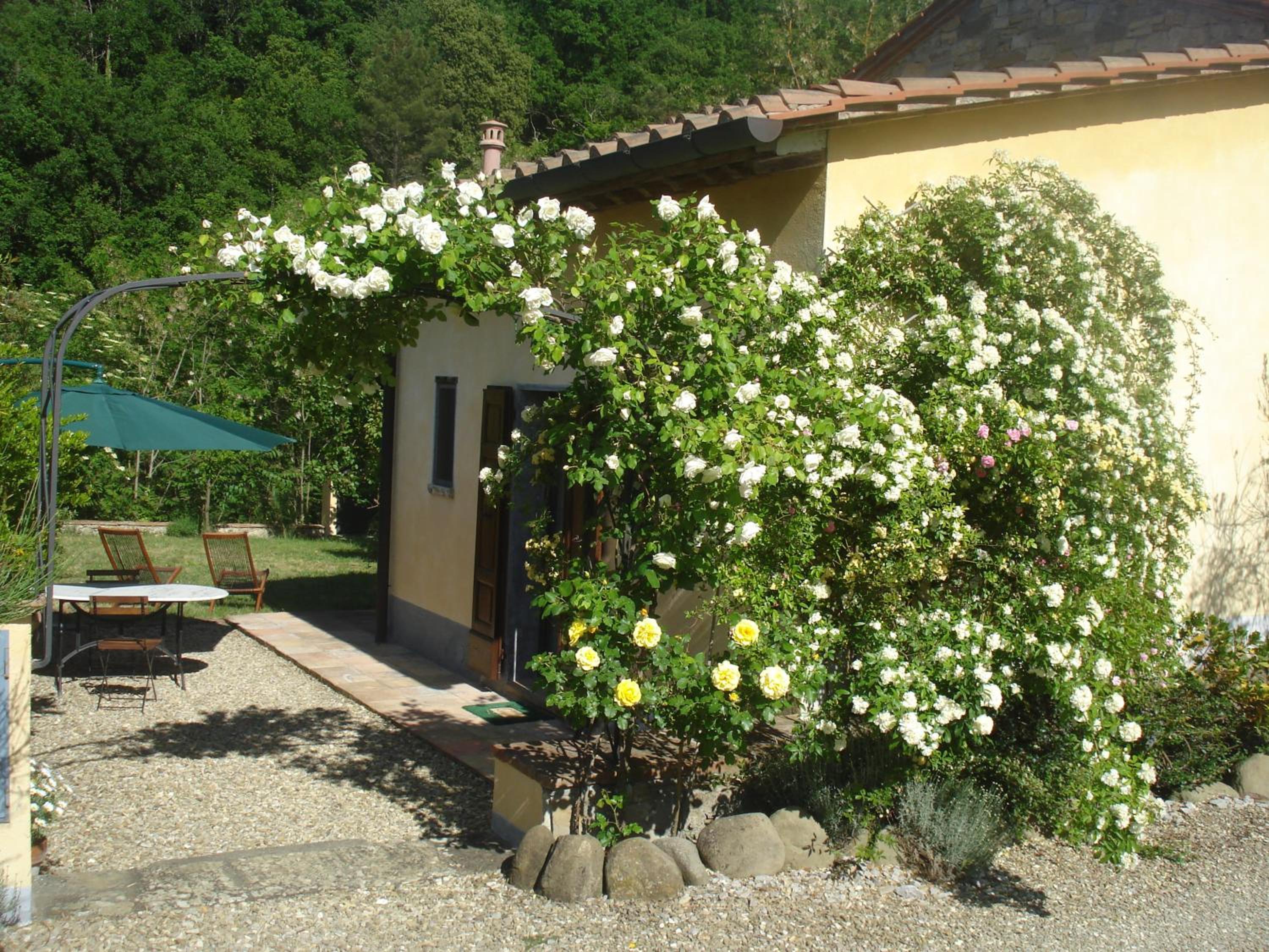 Il Cielo Bio - nature, relax, Shiatsu, massage, esplore Chianti view 4