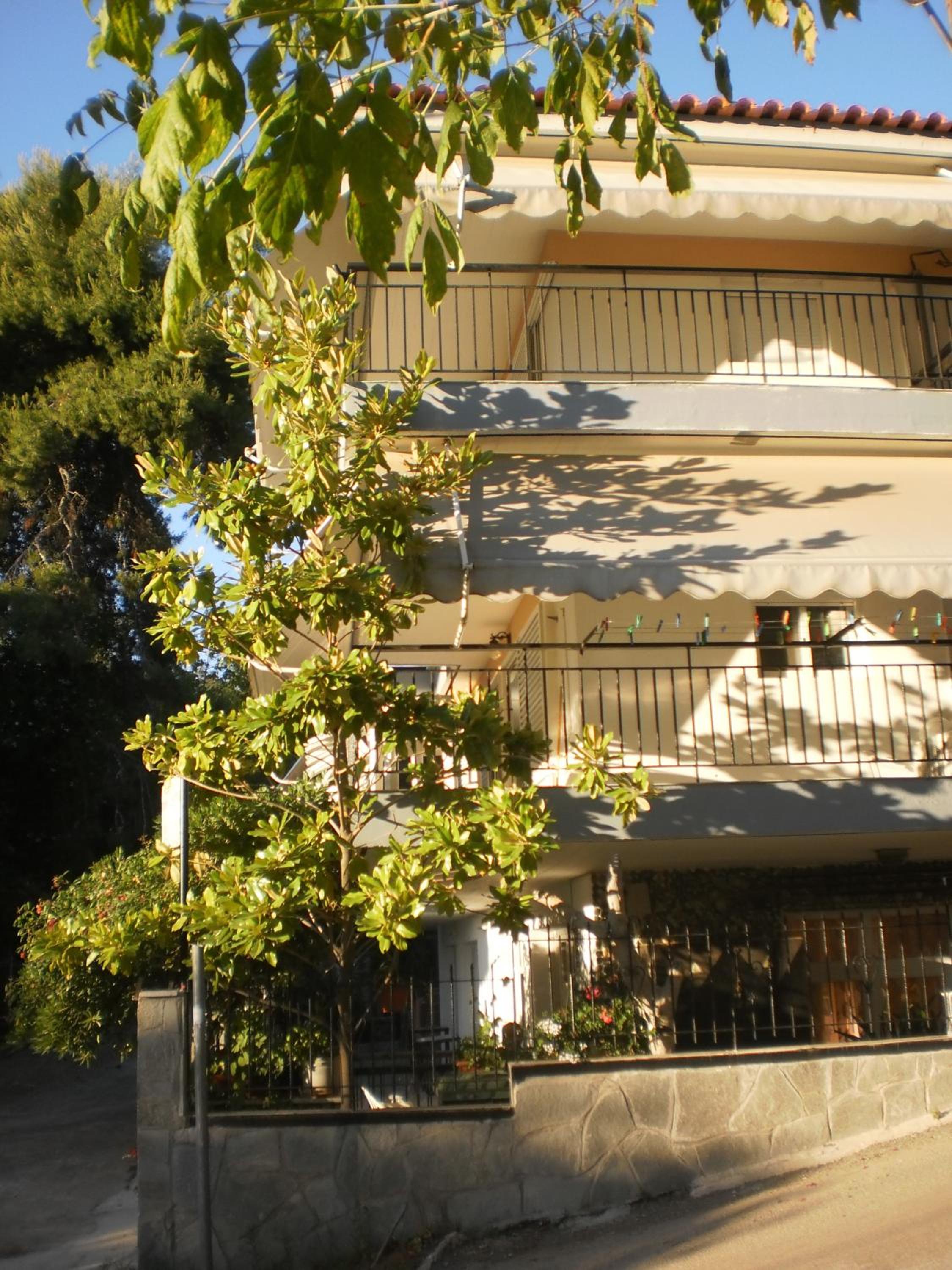 Photo 23