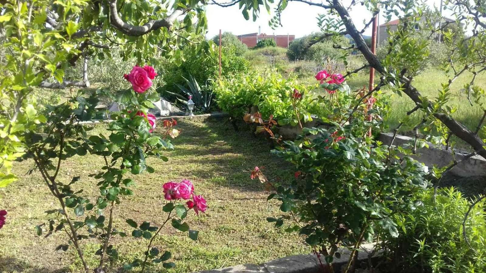 Photo 35