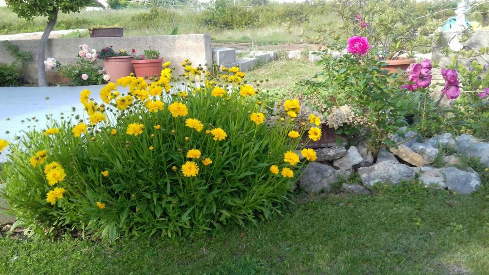 Photo 36