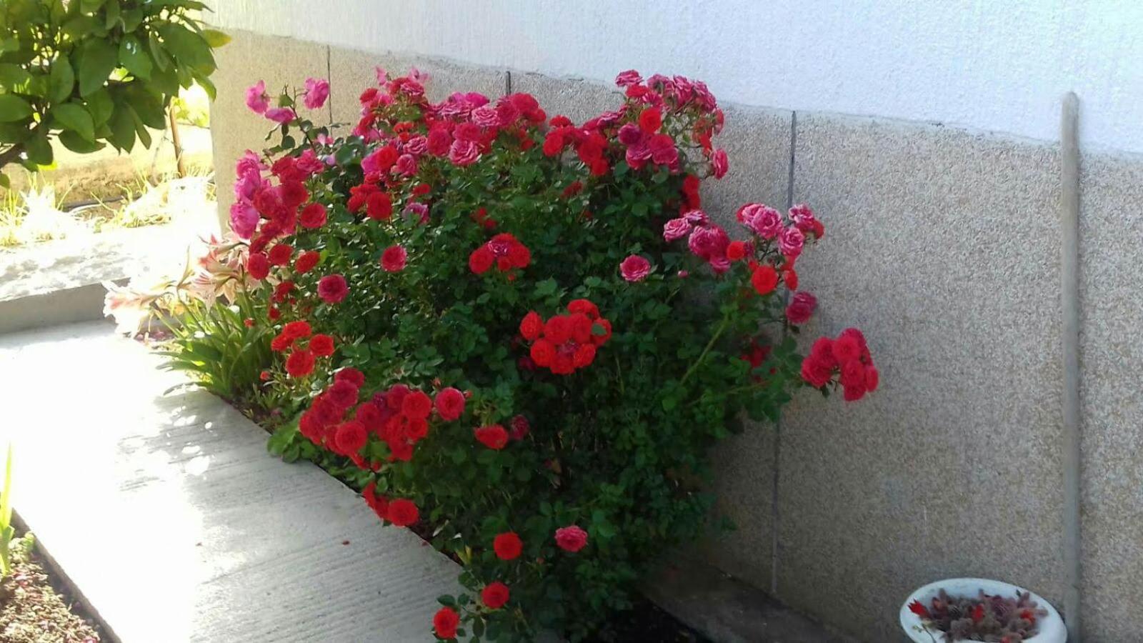 Photo 33