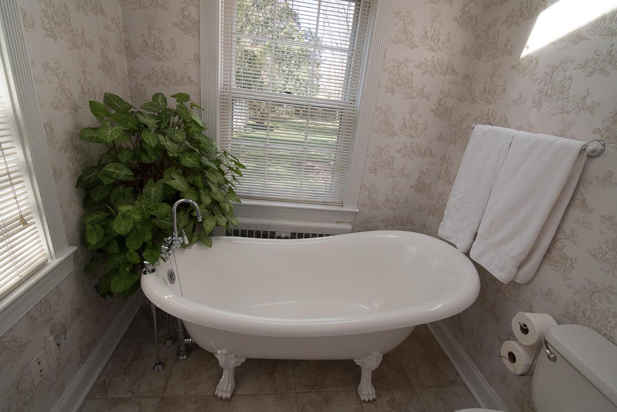 Stafford House Bed Breakfast - Property Image 15