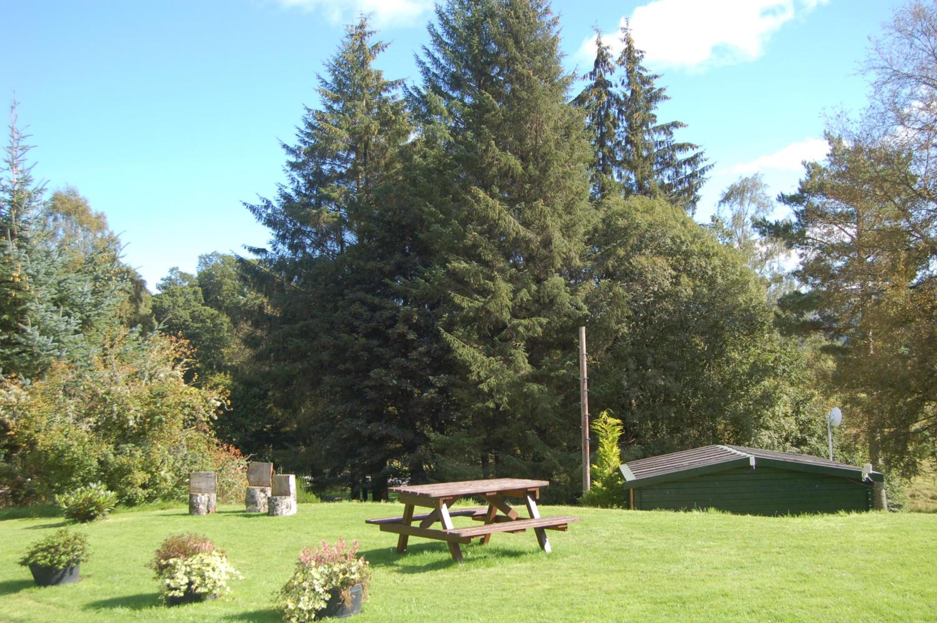 Photo 31
