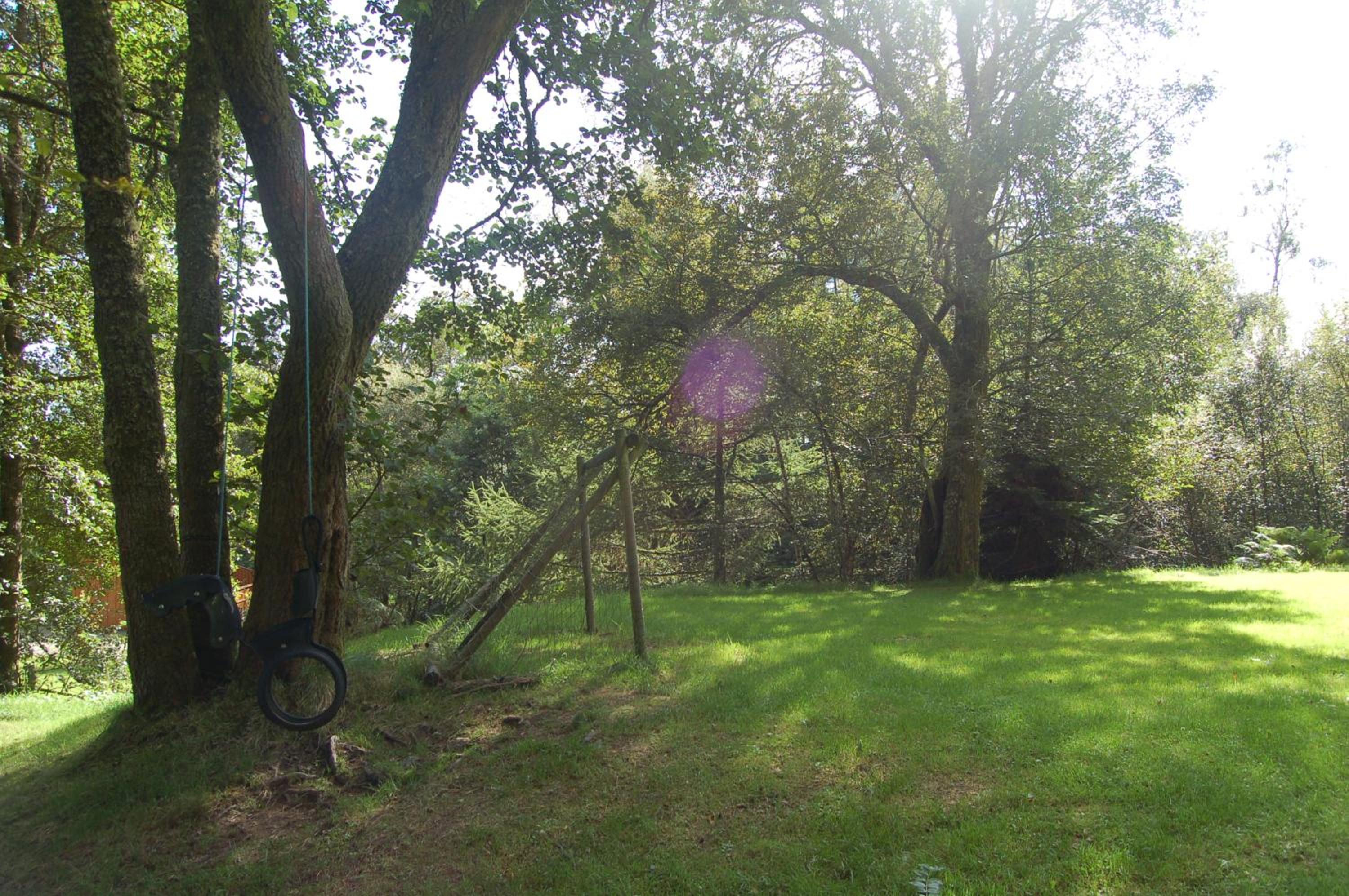 Photo 35