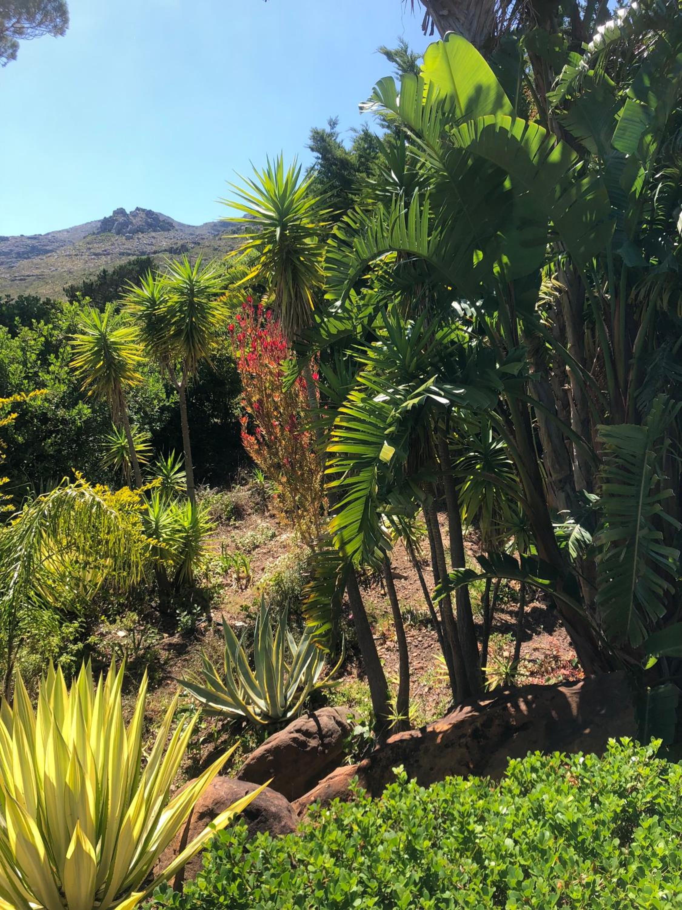 Villa Tivoli Hout Bay view 5