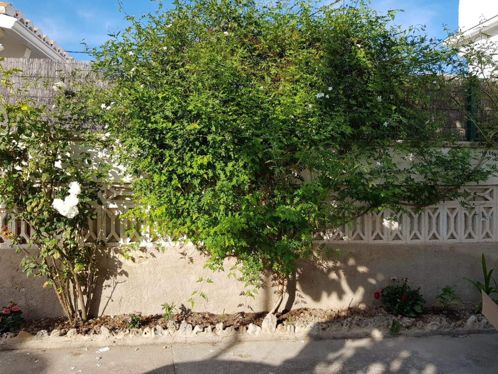 Photo 33