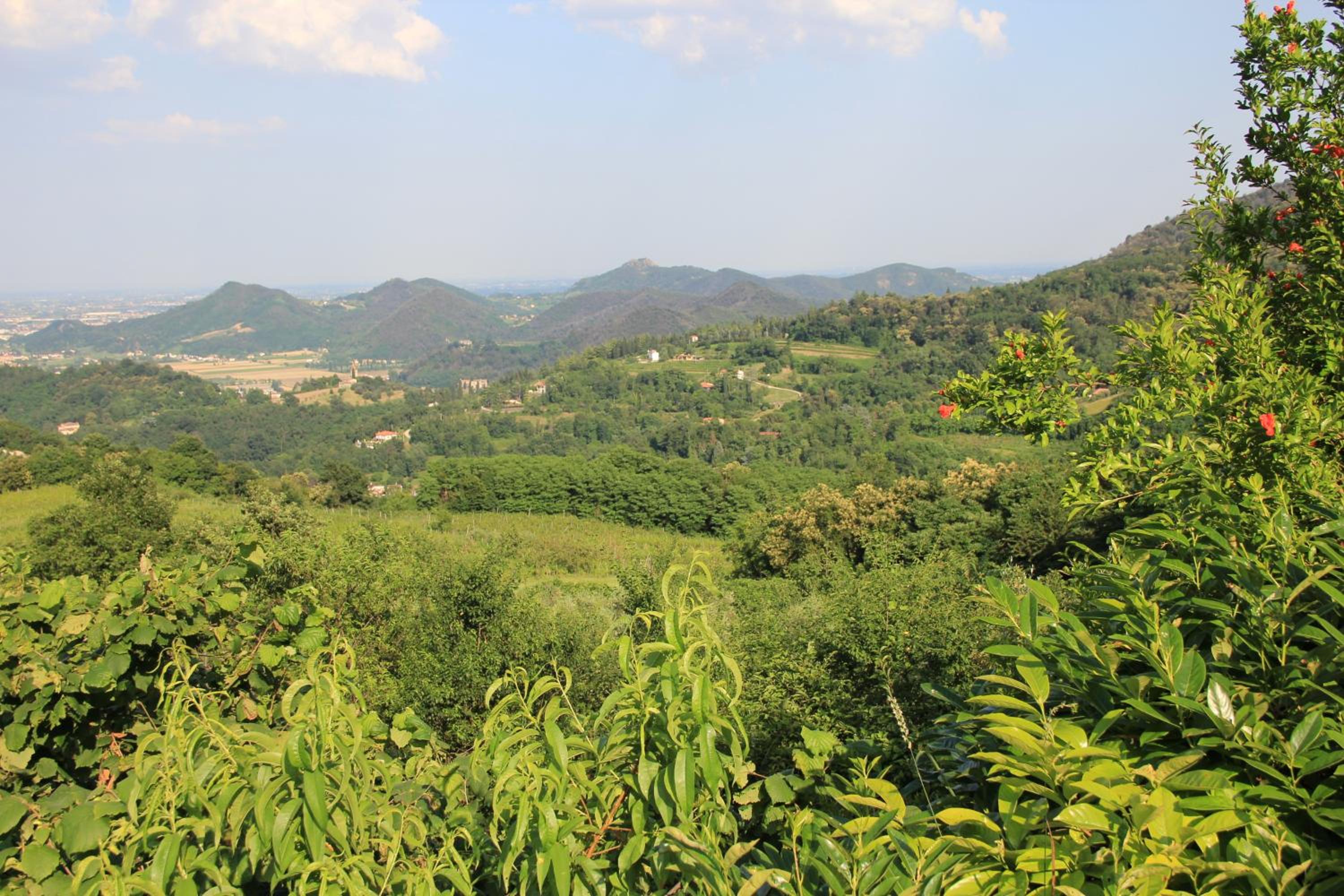 Agriturismo Ca Noale photo 5