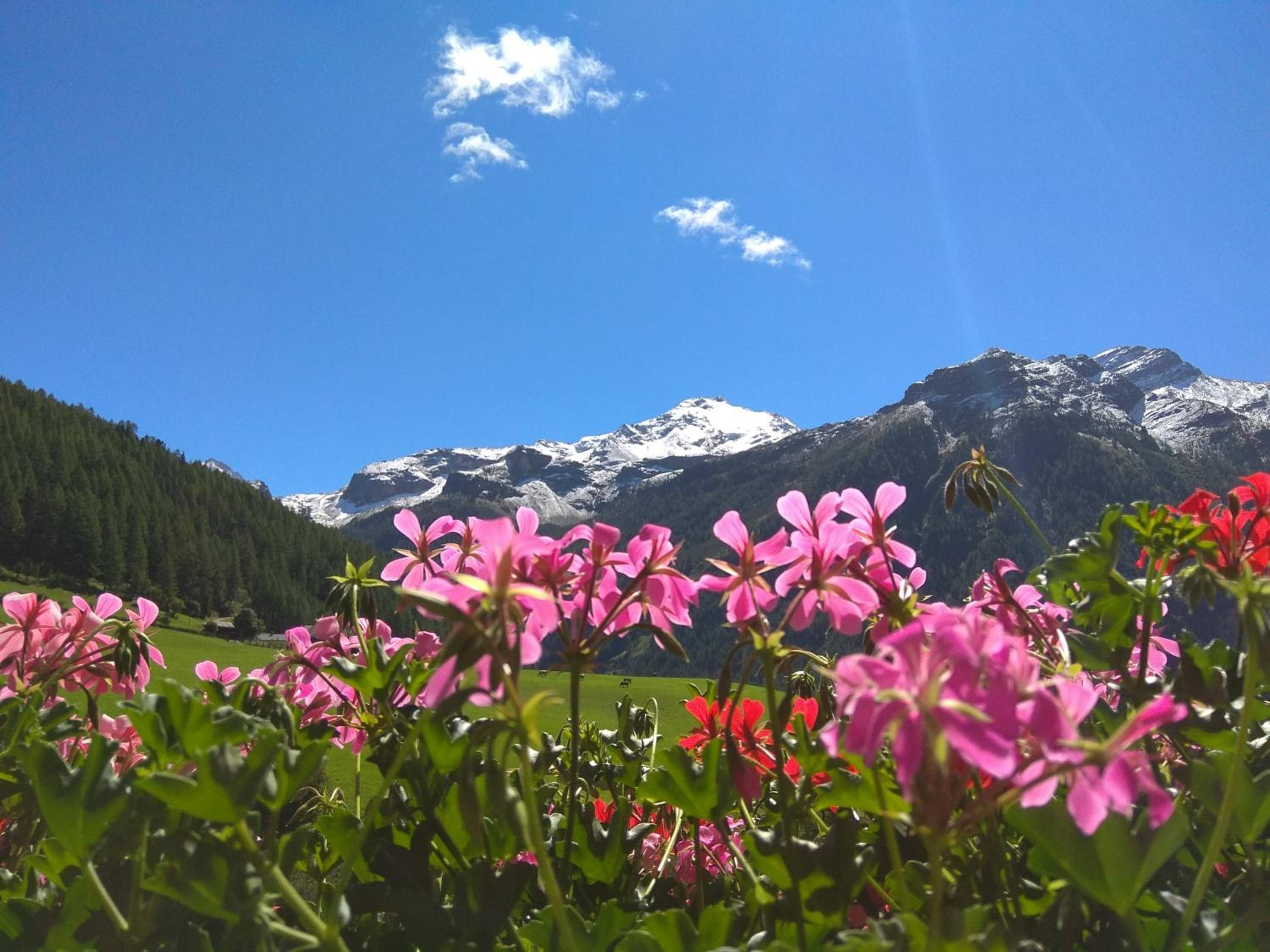 Lanerhof view 3