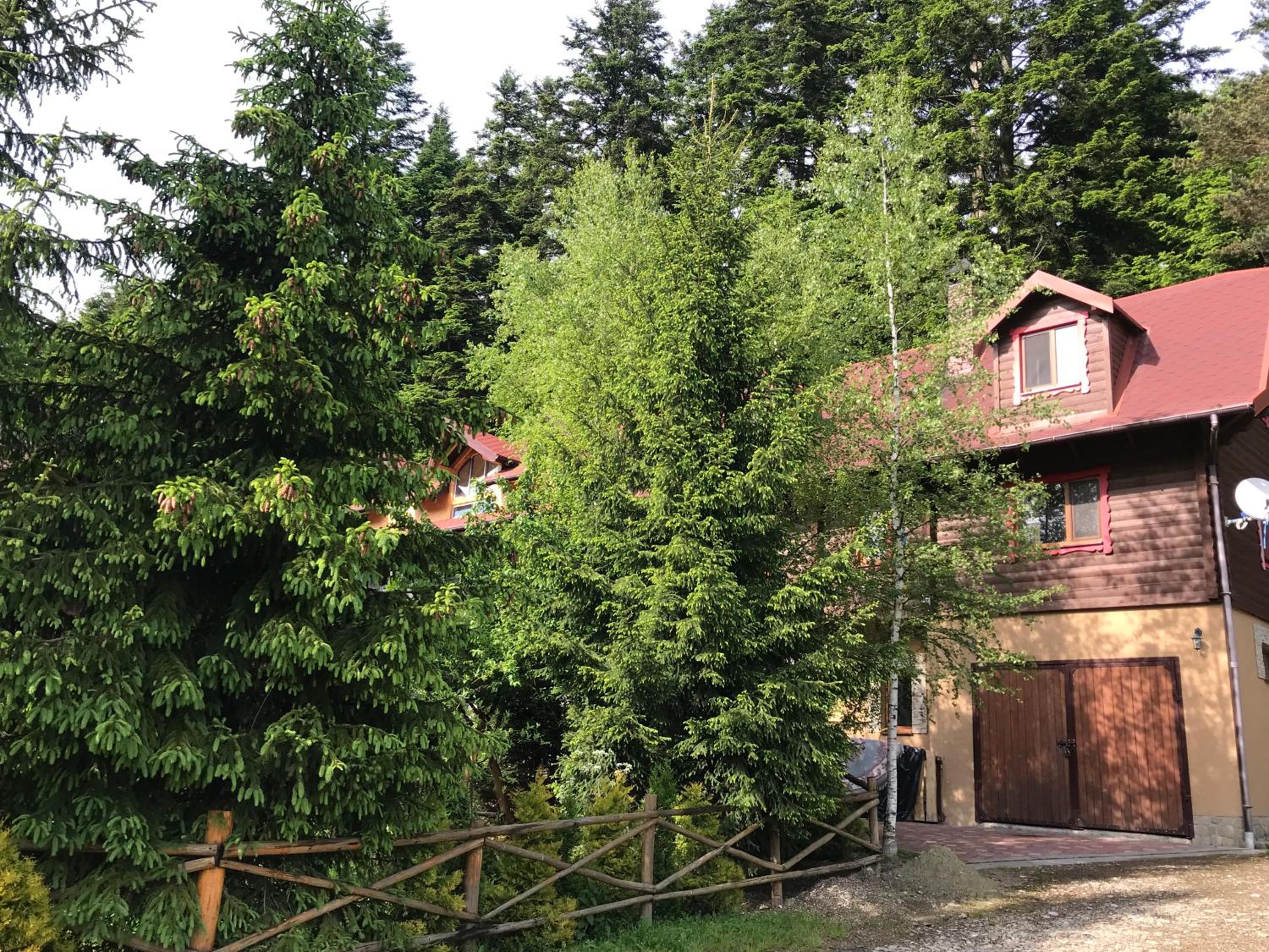 Photo 37