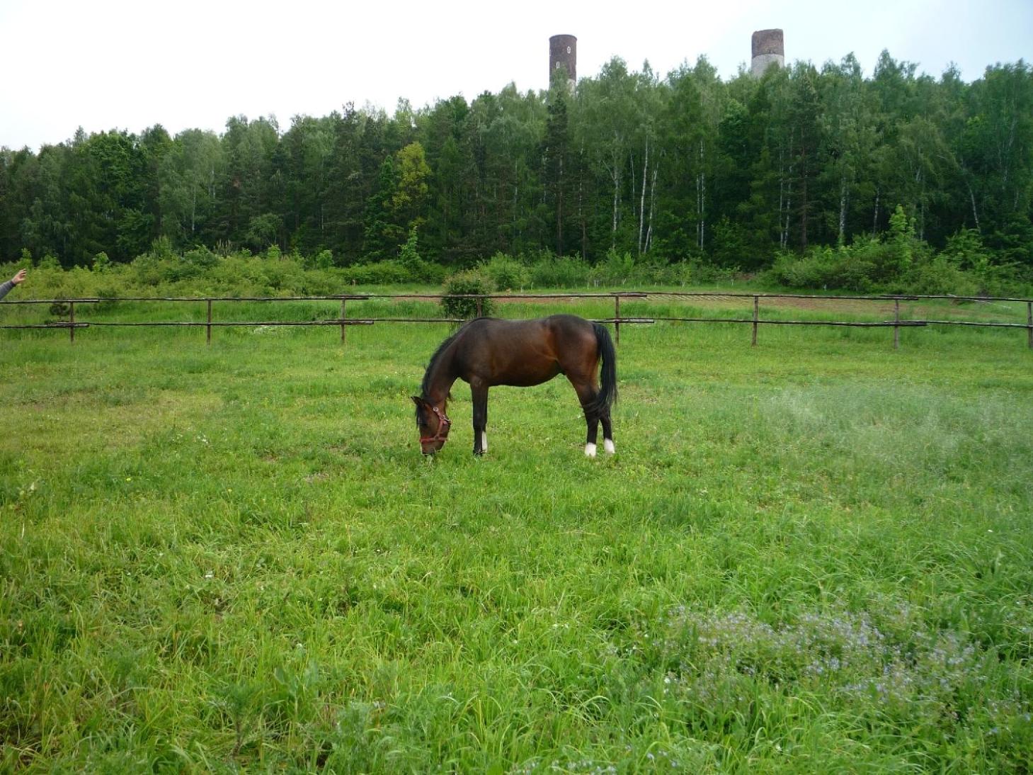 Photo 7