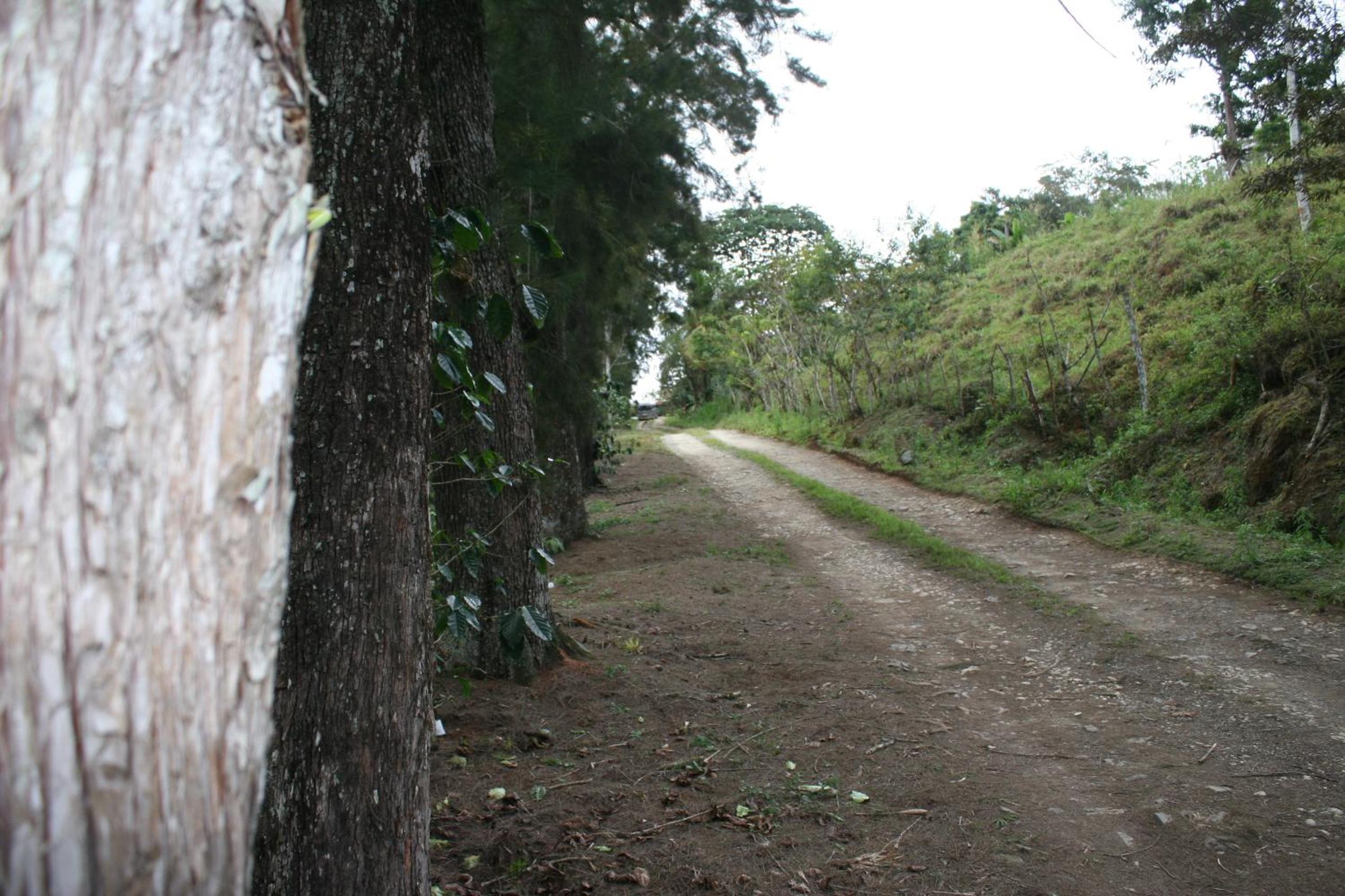 Photo 42