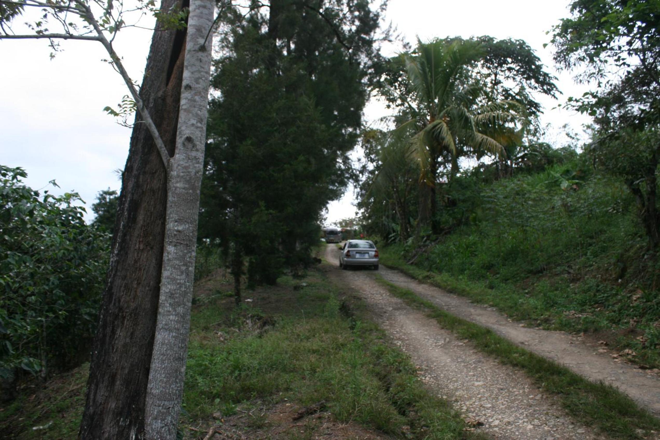 Photo 44