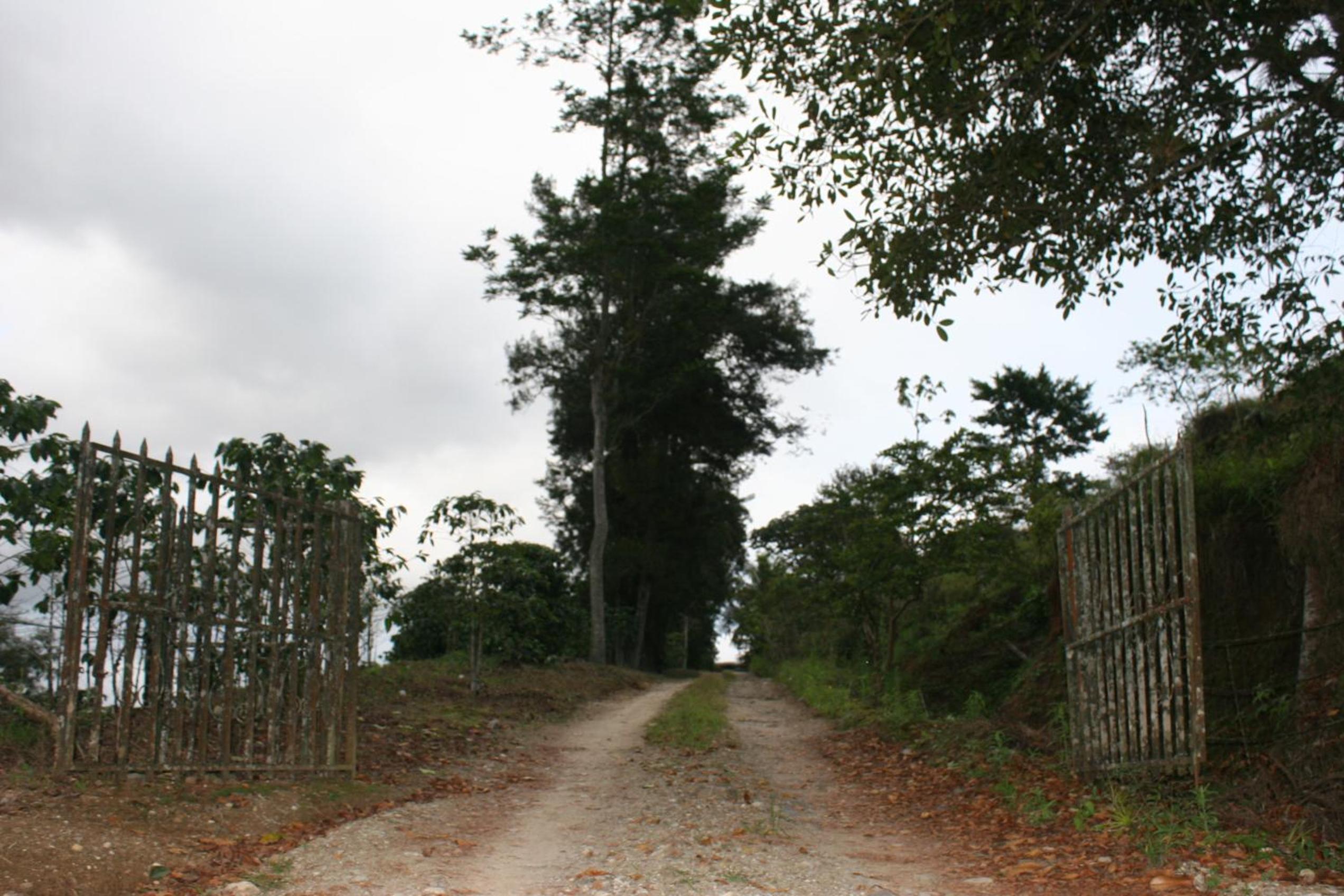 Photo 45