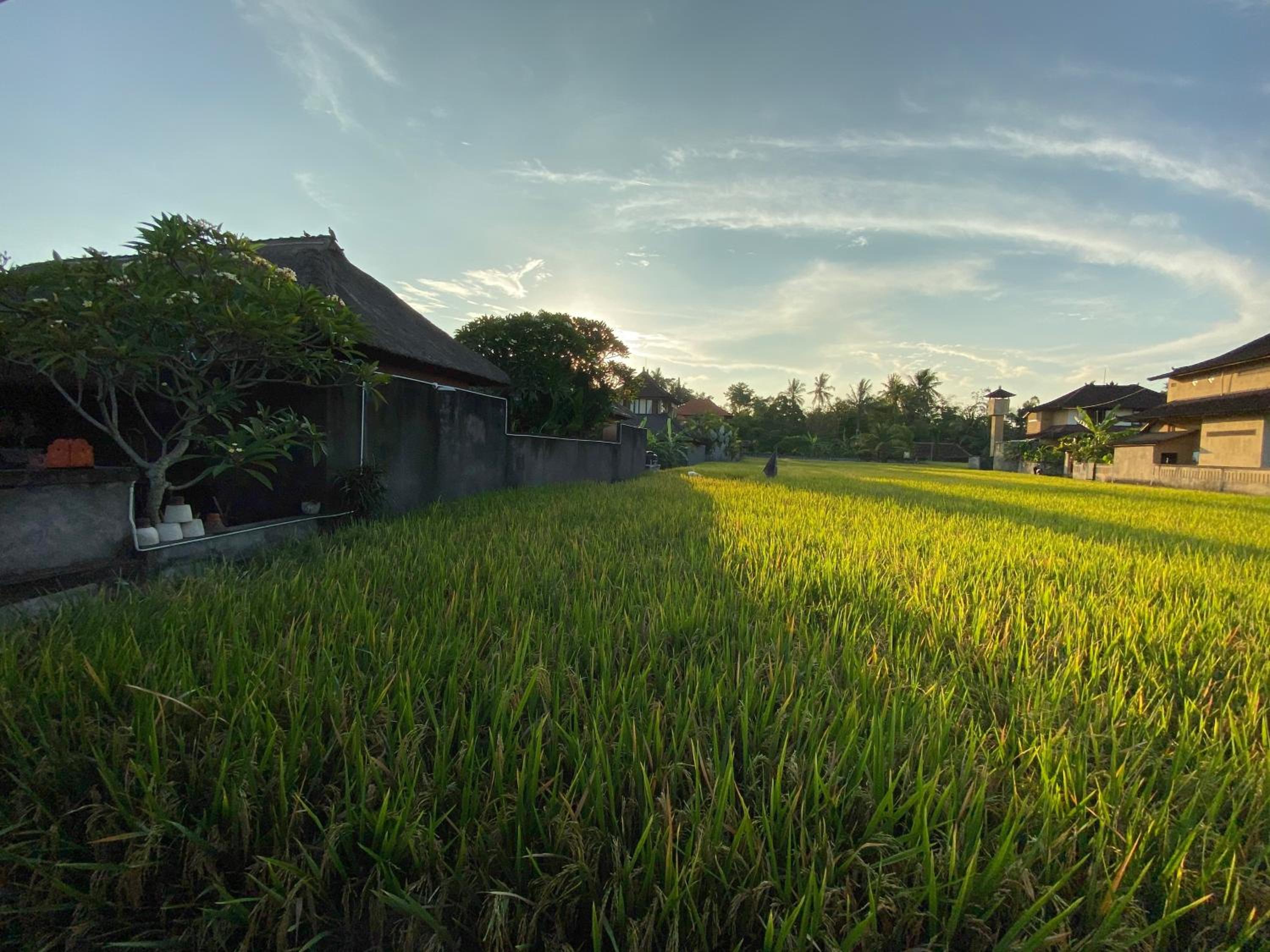 Rumah Dadong