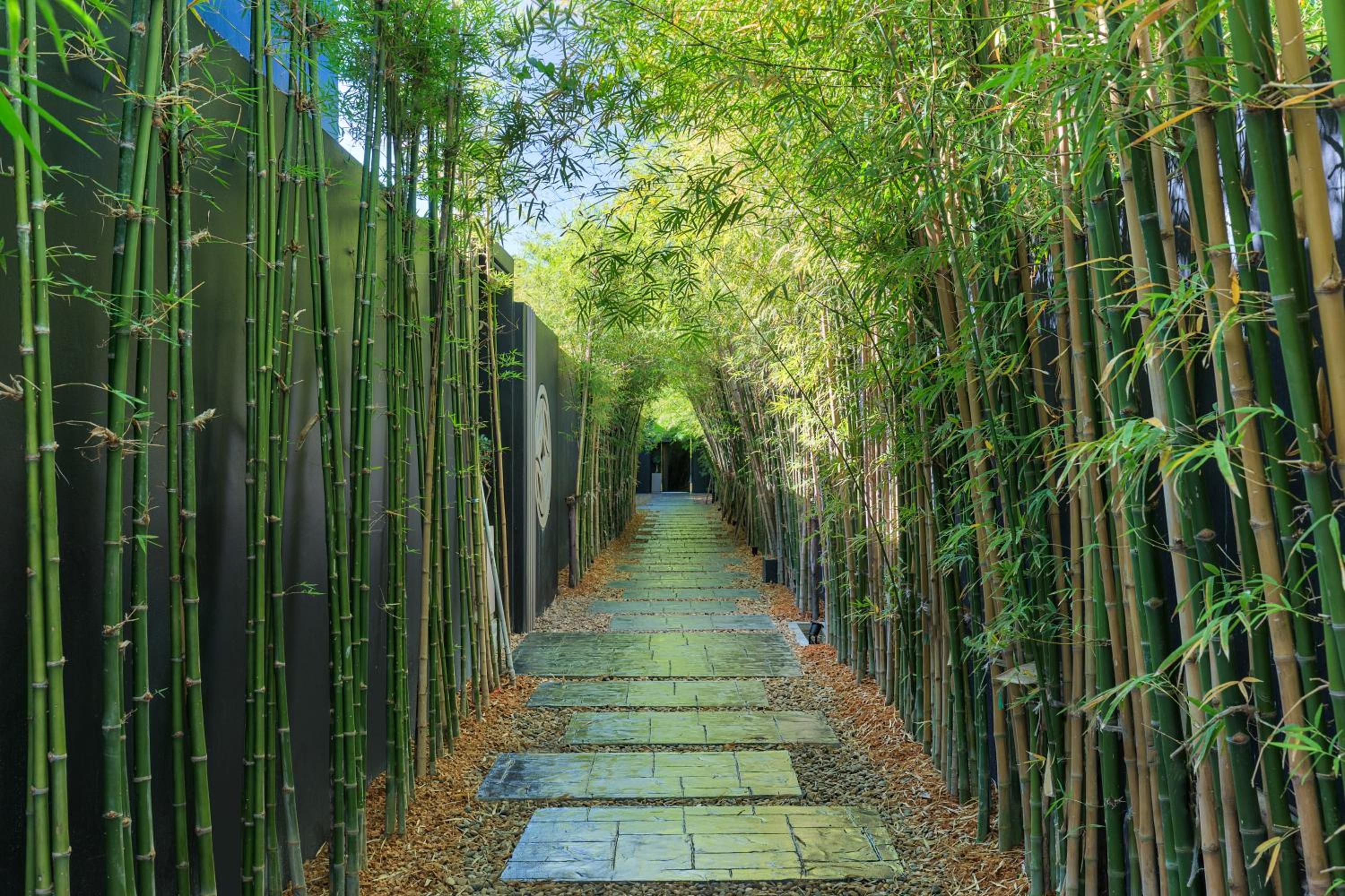 Villa Kyoto