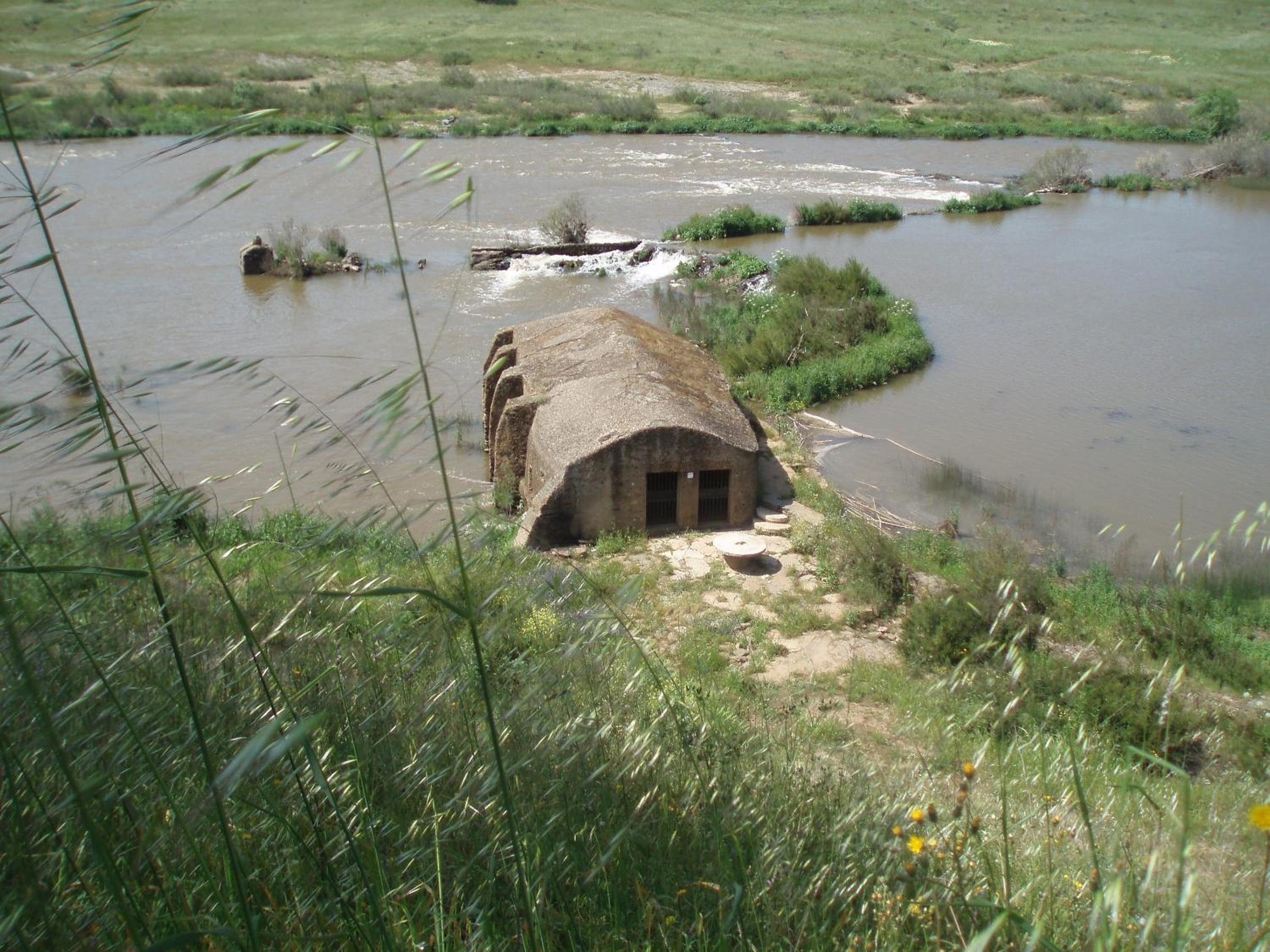 Photo 26
