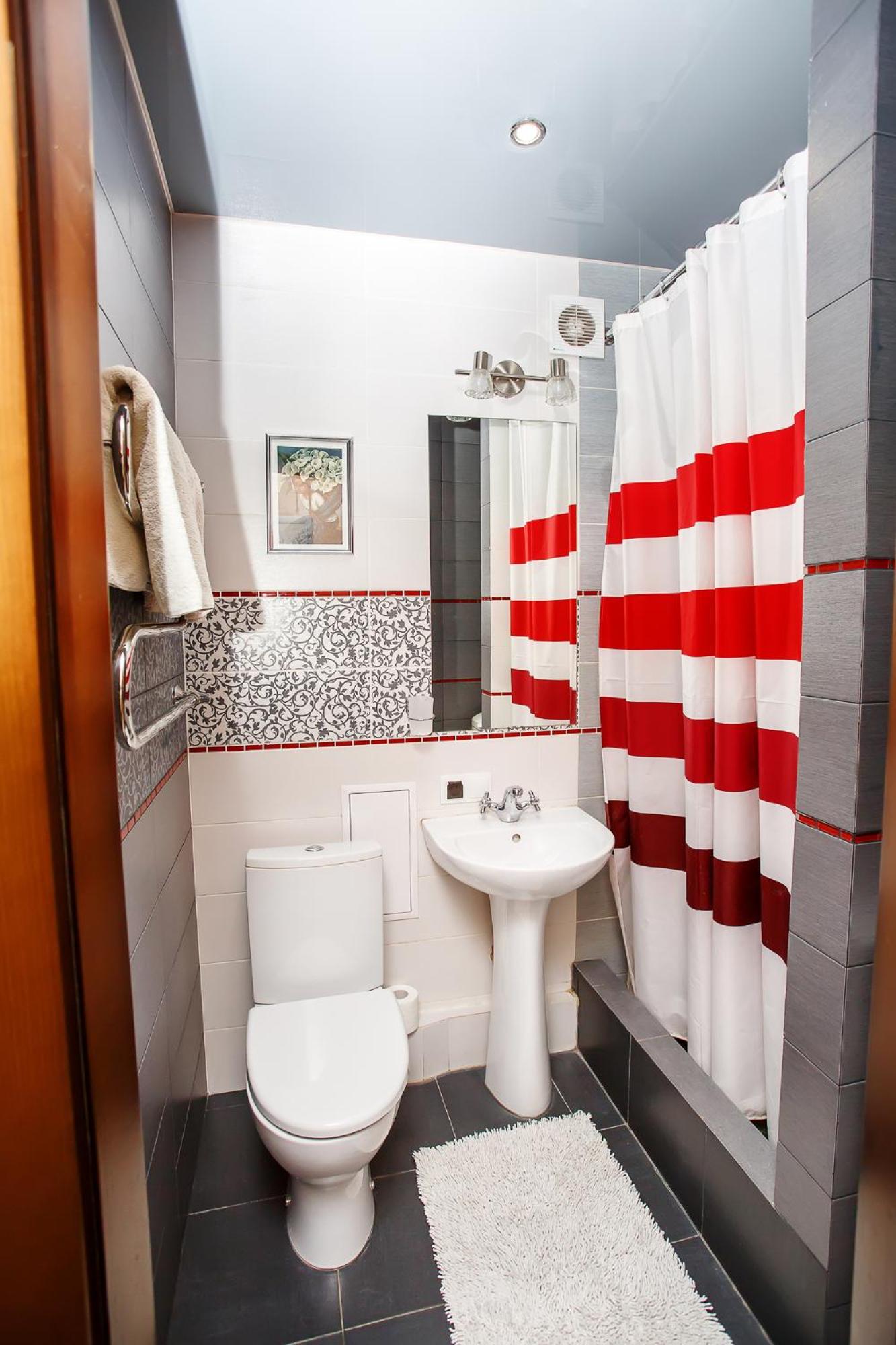 Comfortable apartment in the center view 2