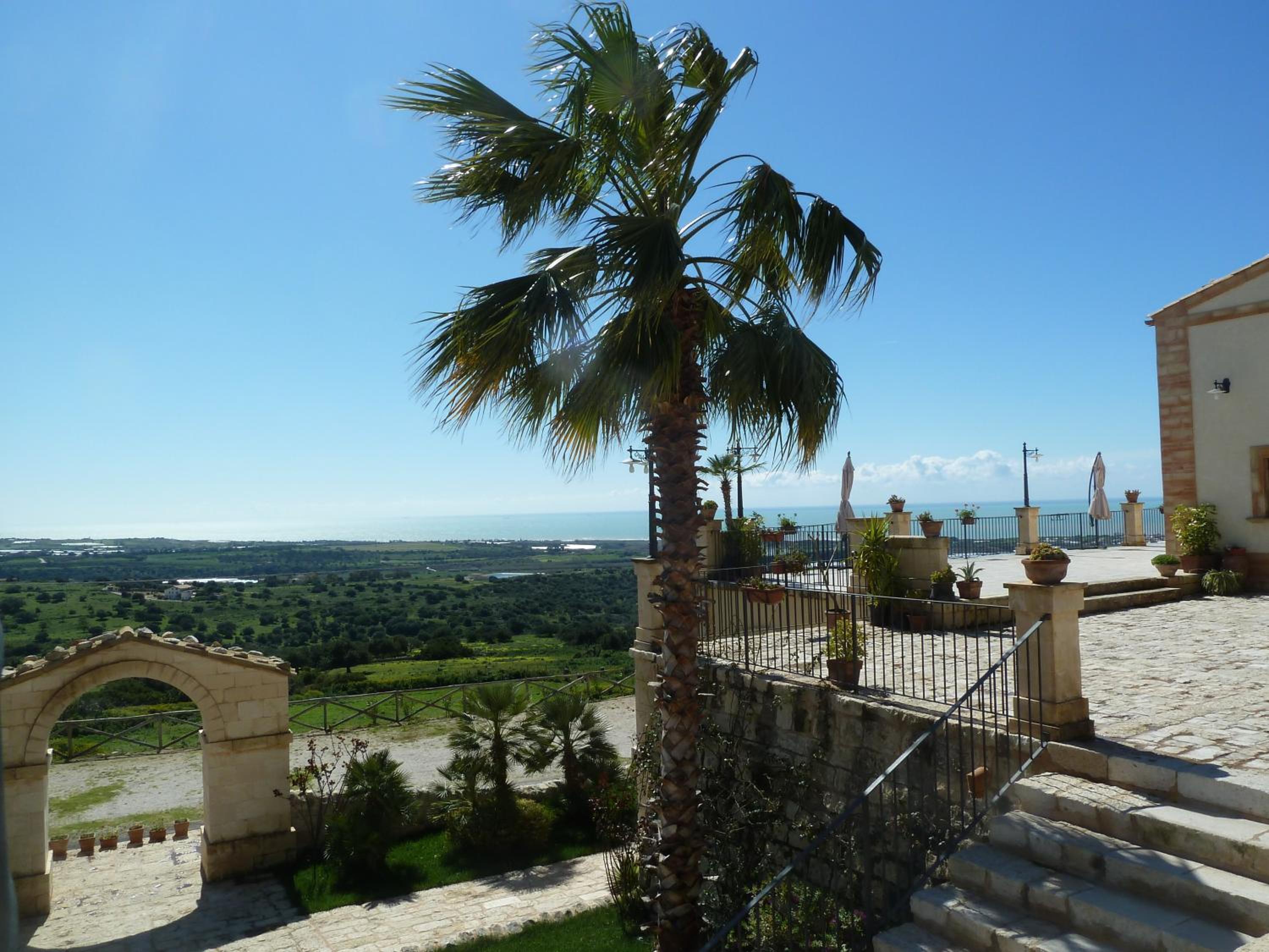 Silva Suri
