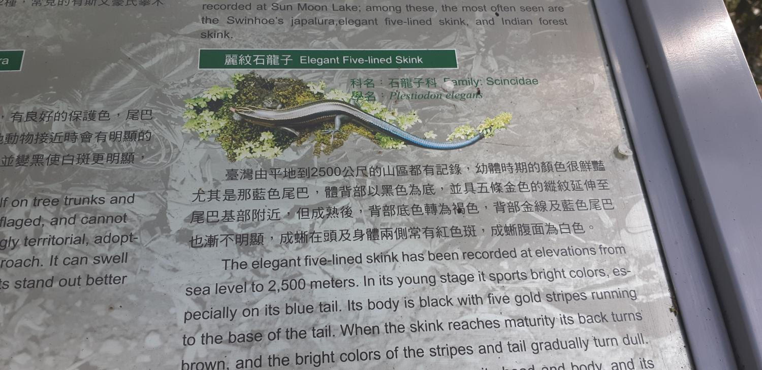 Ze Hu B&B