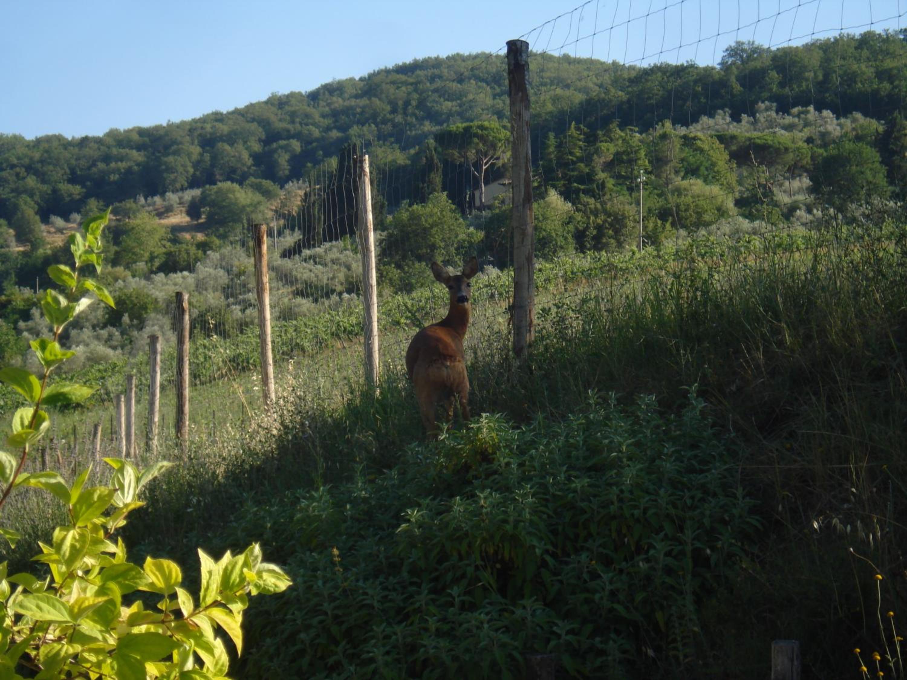 Photo 28