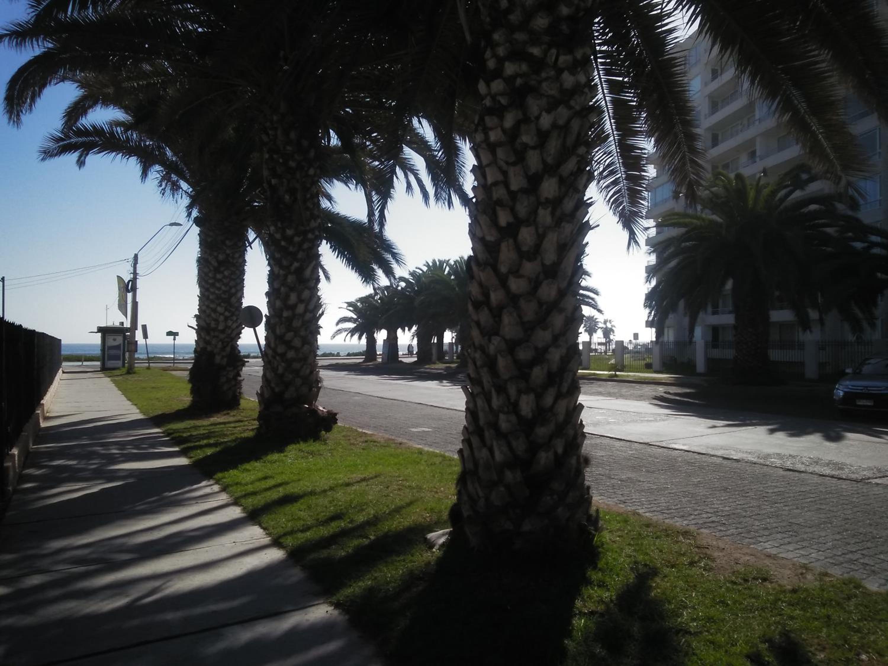 La Serena hermosa