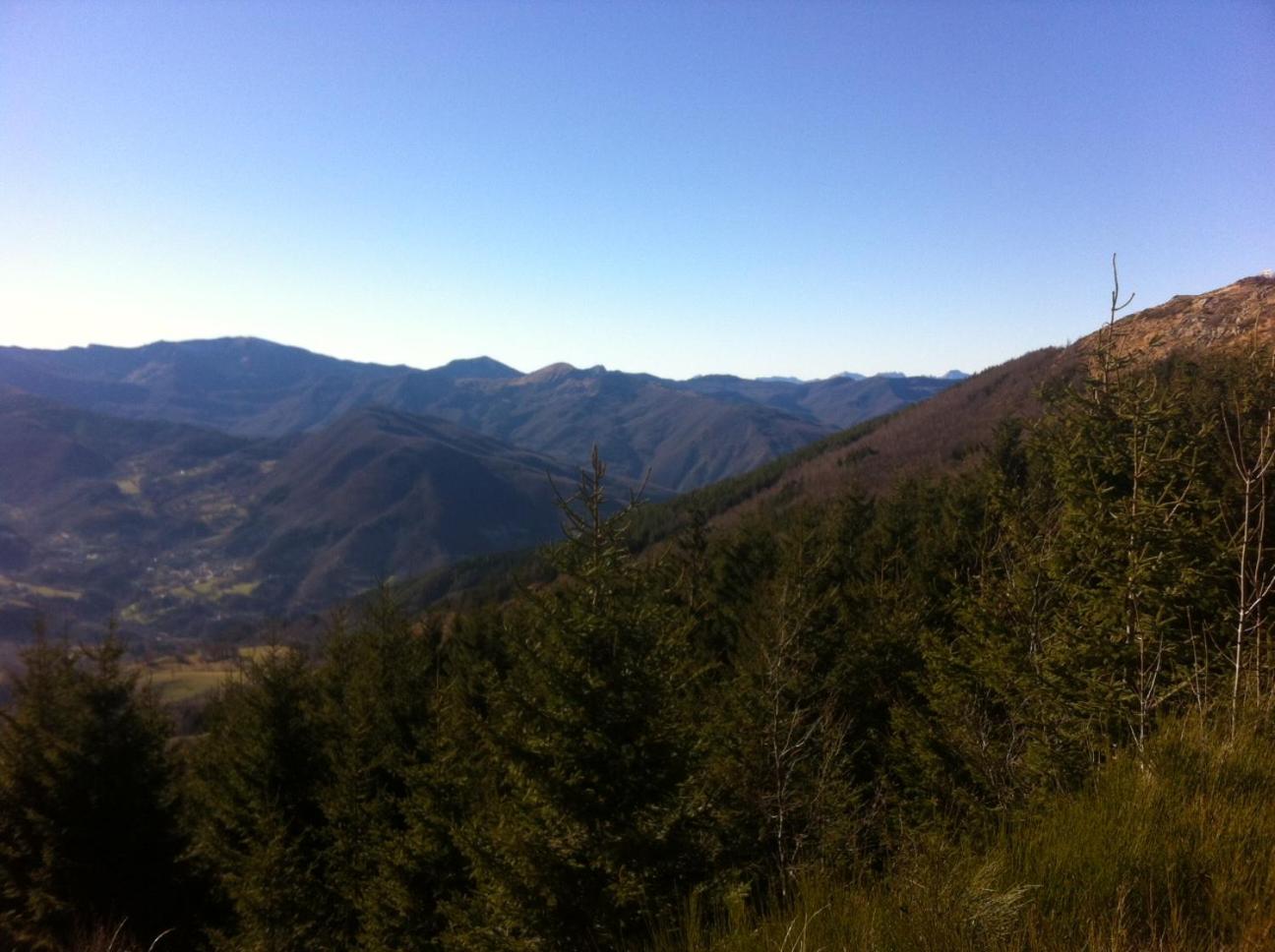 Photo 37