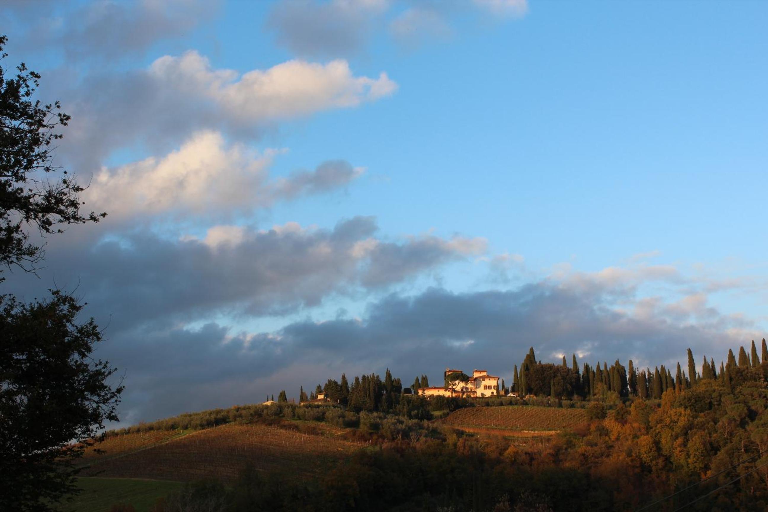 Il Cielo Bio - nature, relax, Shiatsu, massage, esplore Chianti view 3