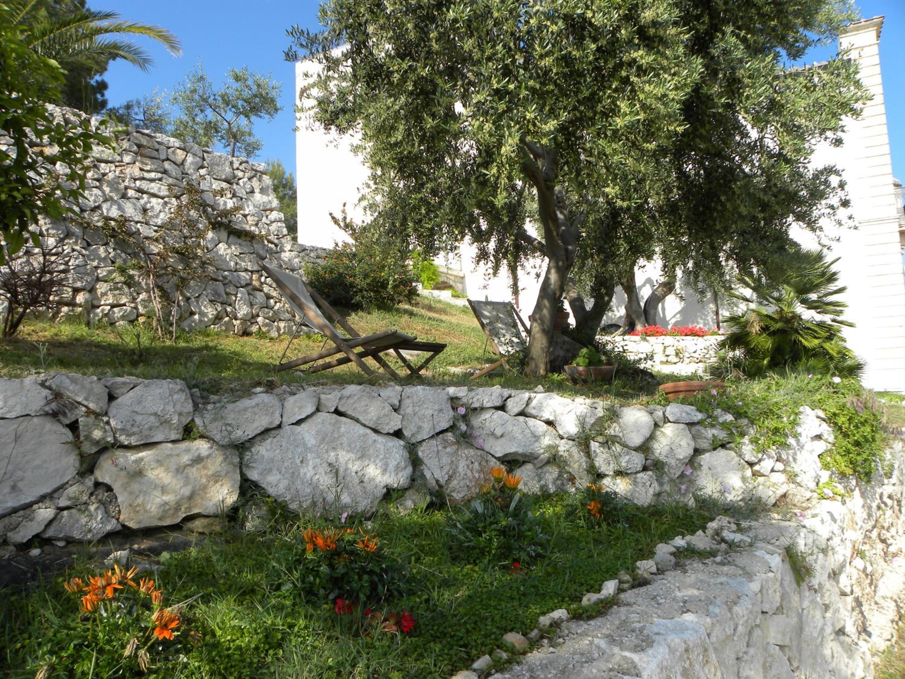 Photo 51