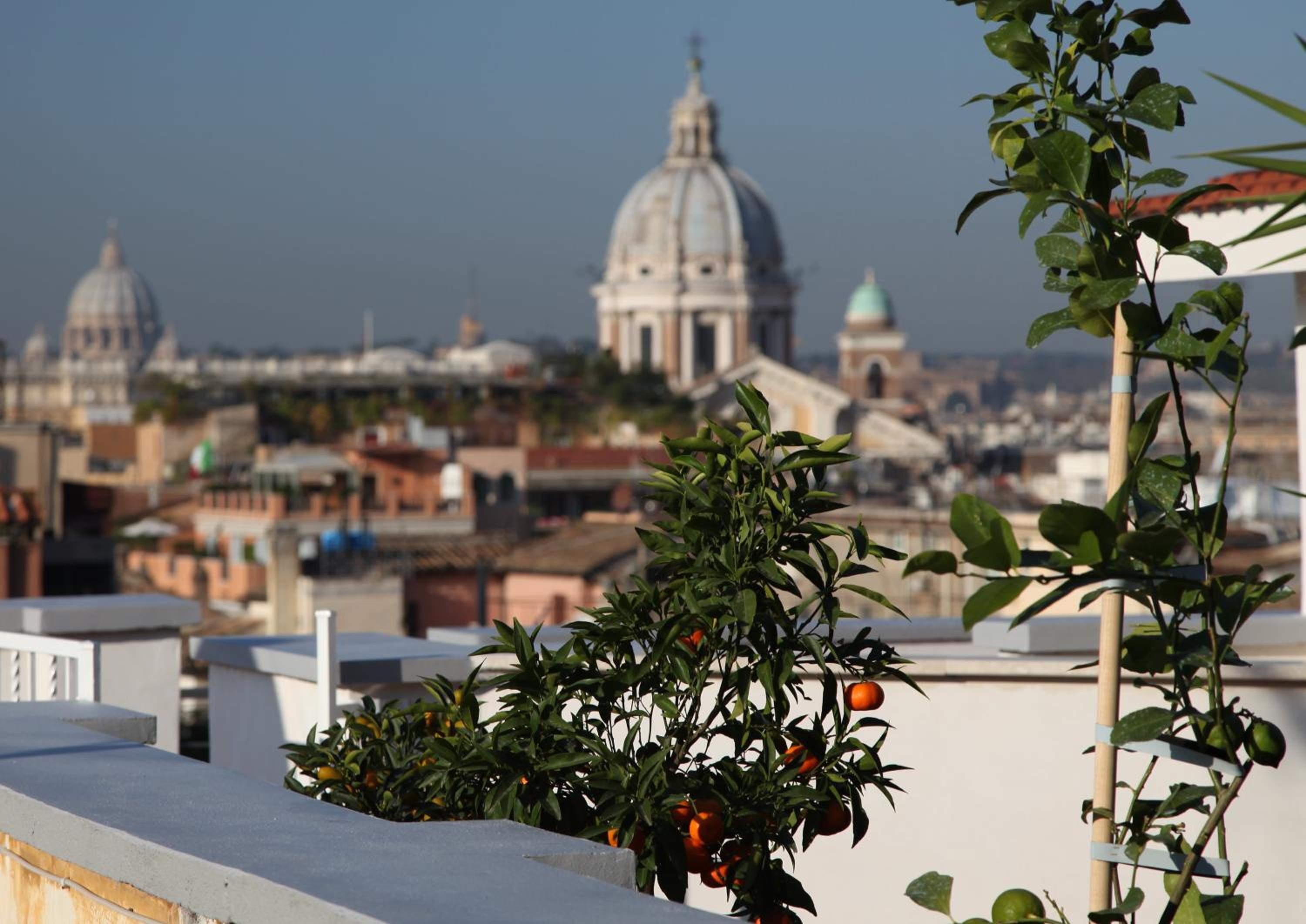 roof