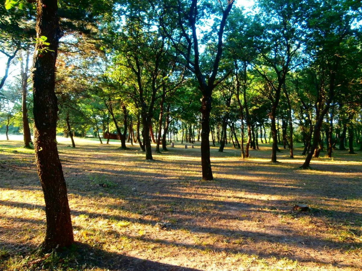 children's play area