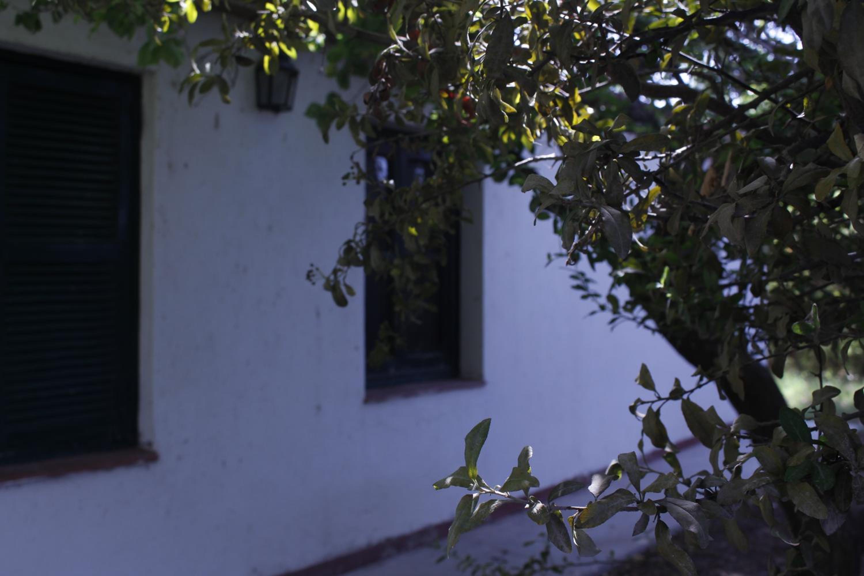 Cabaña en Olivar Centenario Agroecológico Tutuna