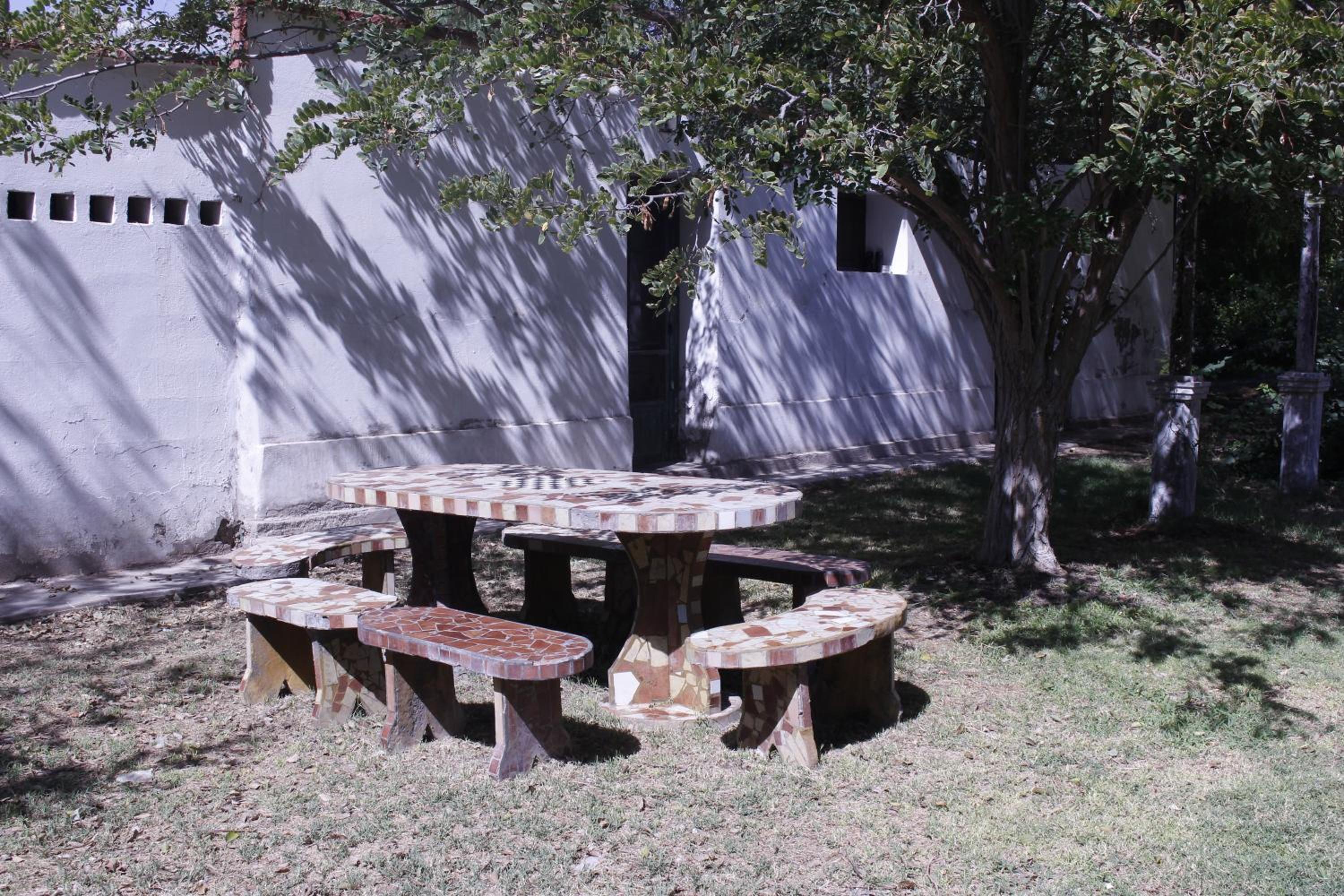 Cabaña en Olivar Centenario Agroecológico Tutuna