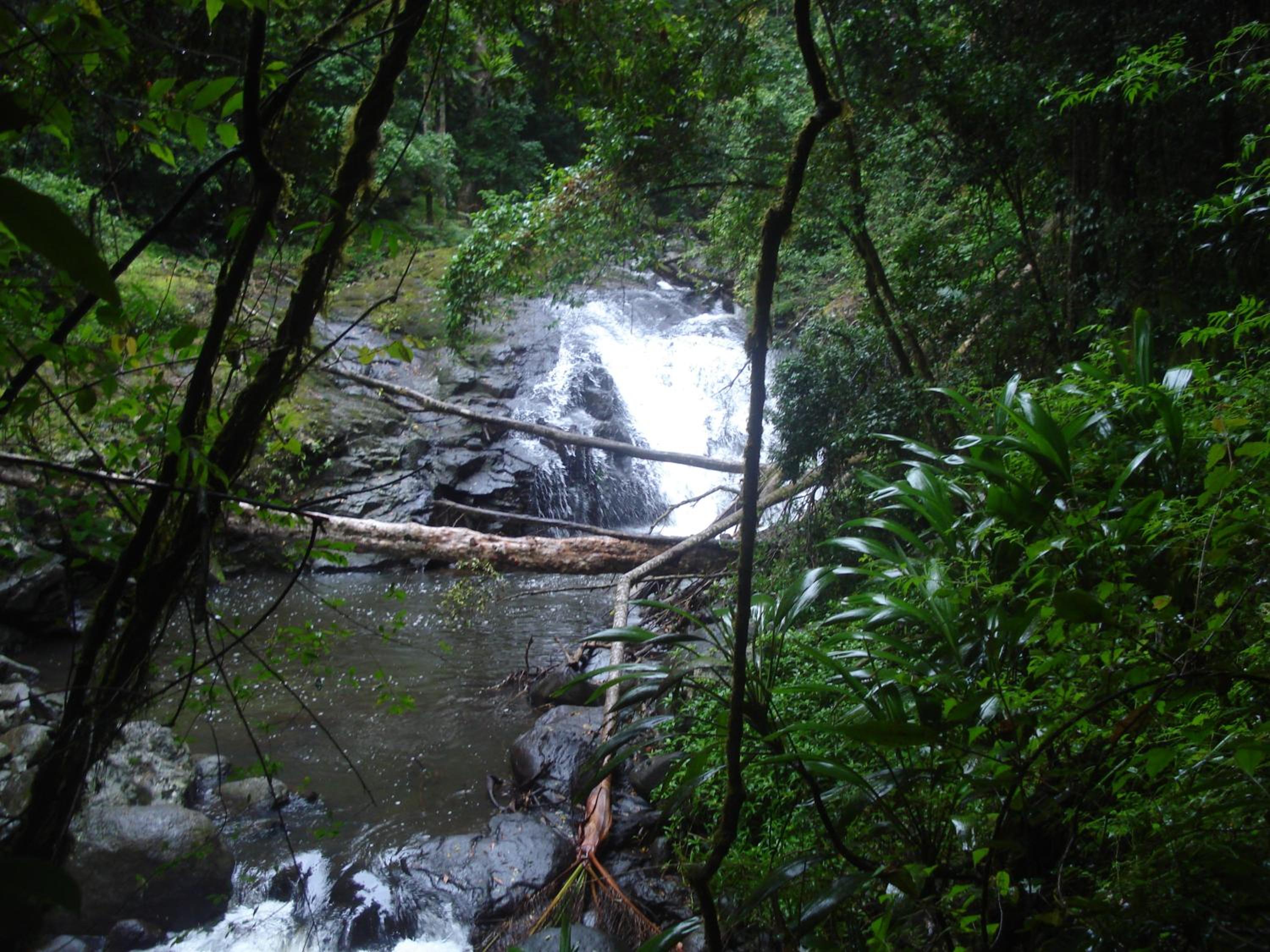 Christmas Creek Café & Cabins